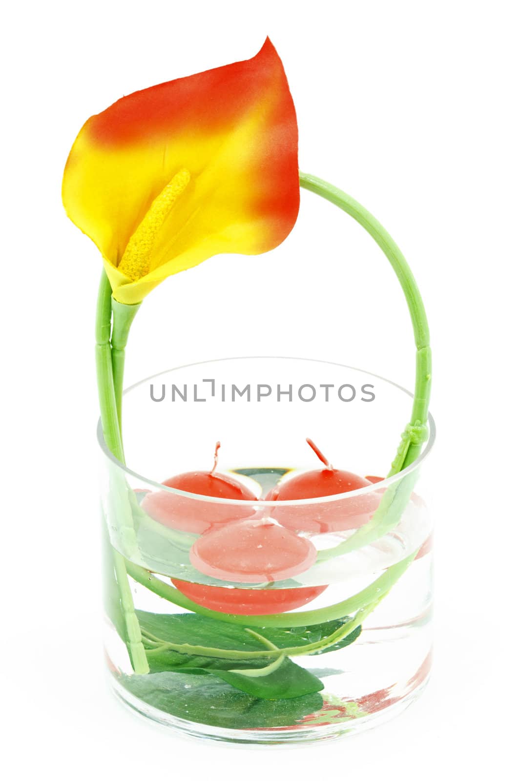 Home decoration with artificial flower in jar, isolated on white