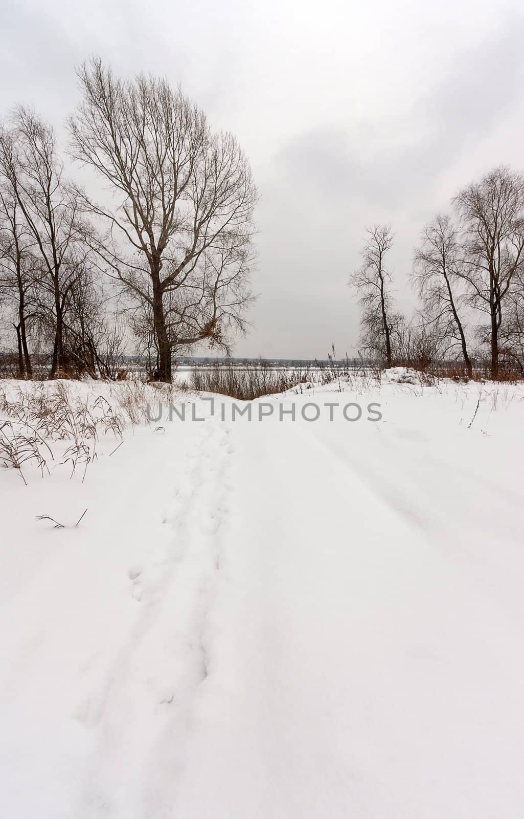 winter landscape by zhannaprokopeva
