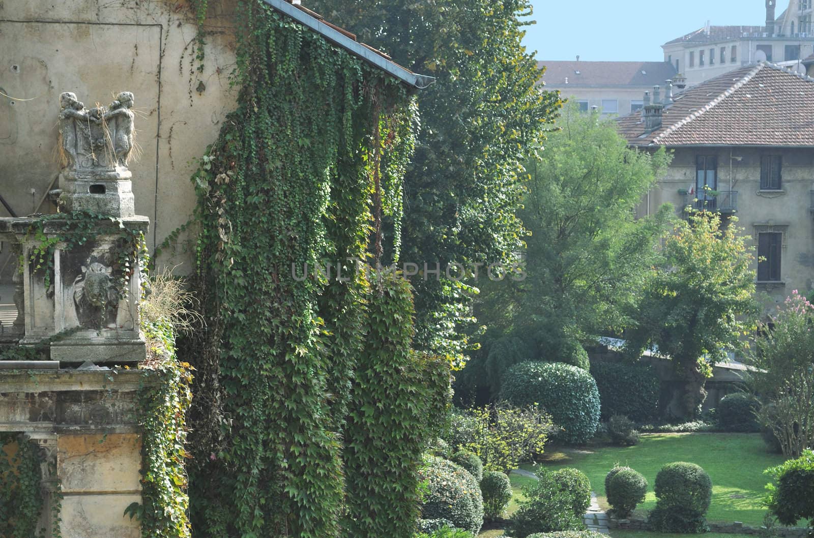 Traditional classical garden with meadow and ivy