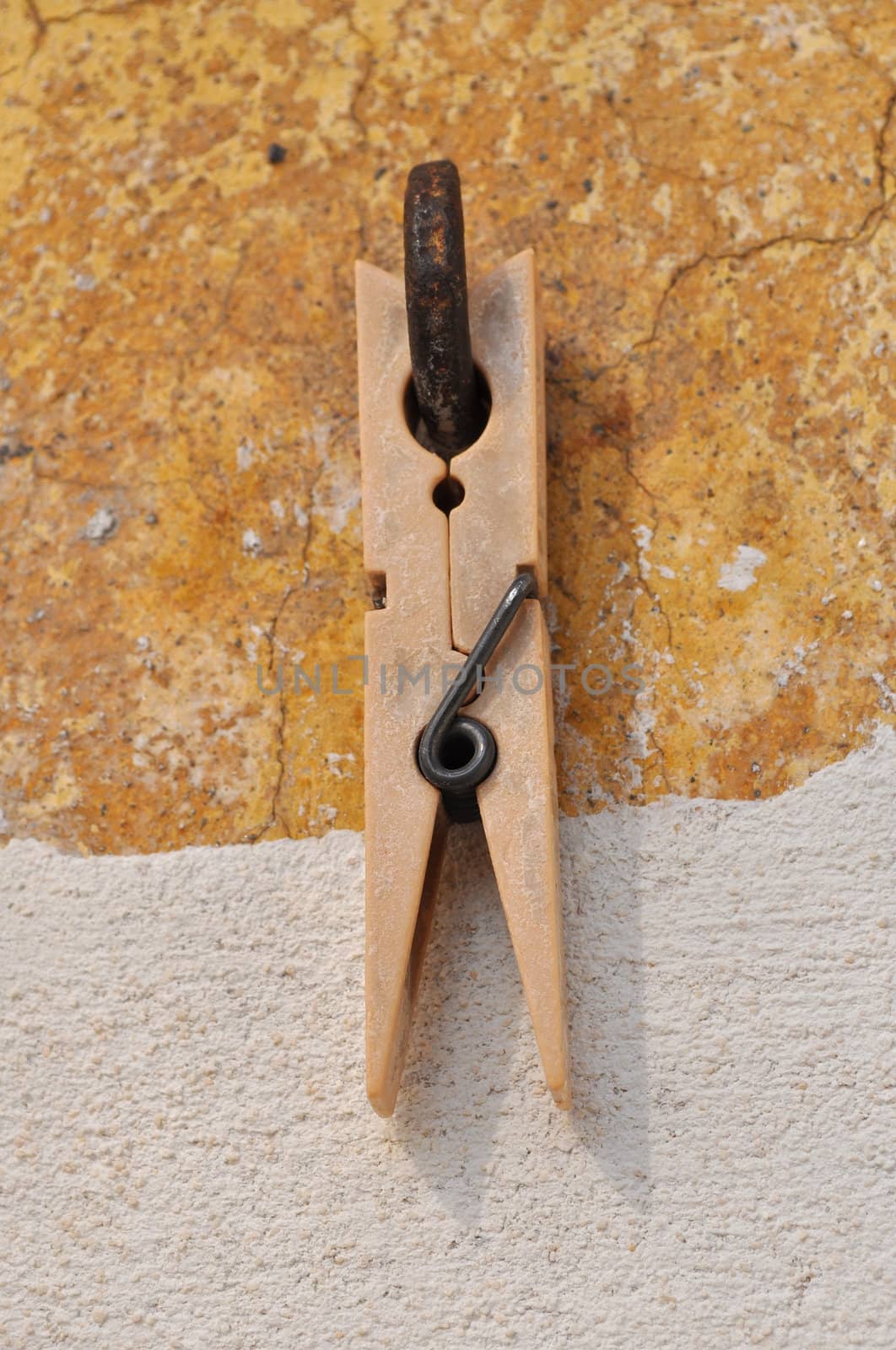 Clothespin or clothes peg spring loaded wood clamp