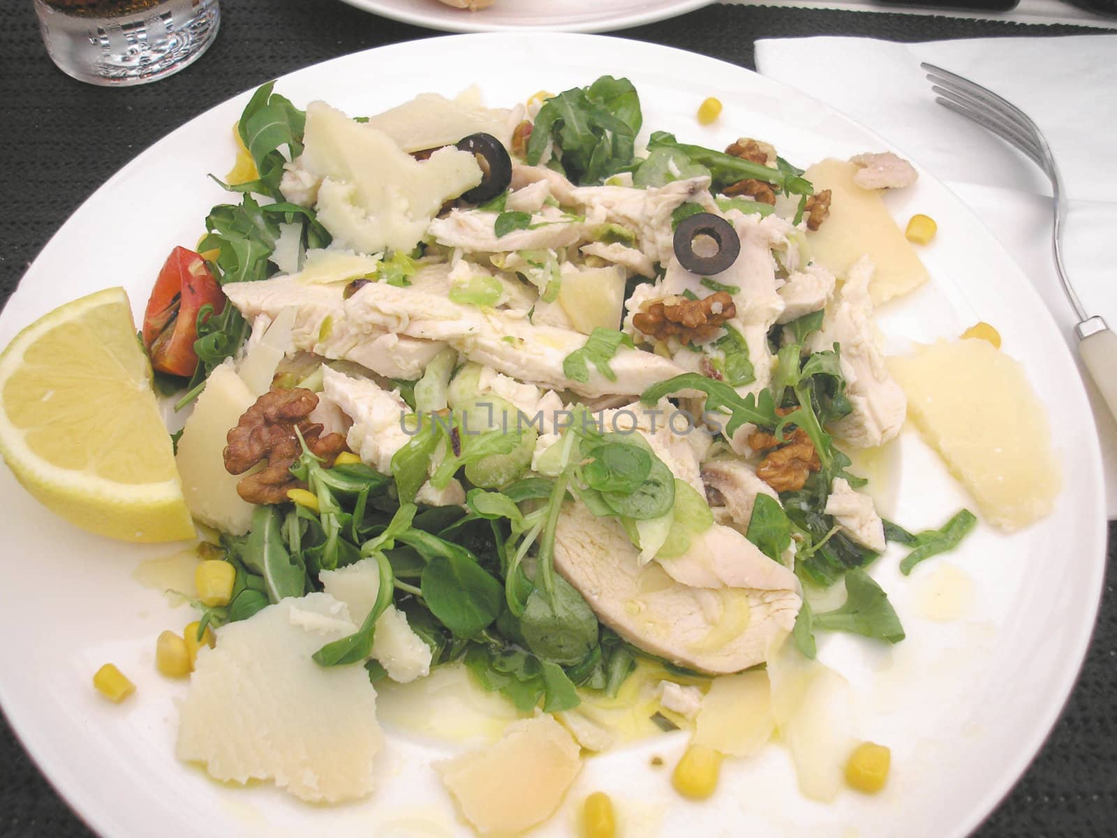 Detail of Chicken Salad in a dish with lemon slice, parmesan cheese, nuts and parsley
