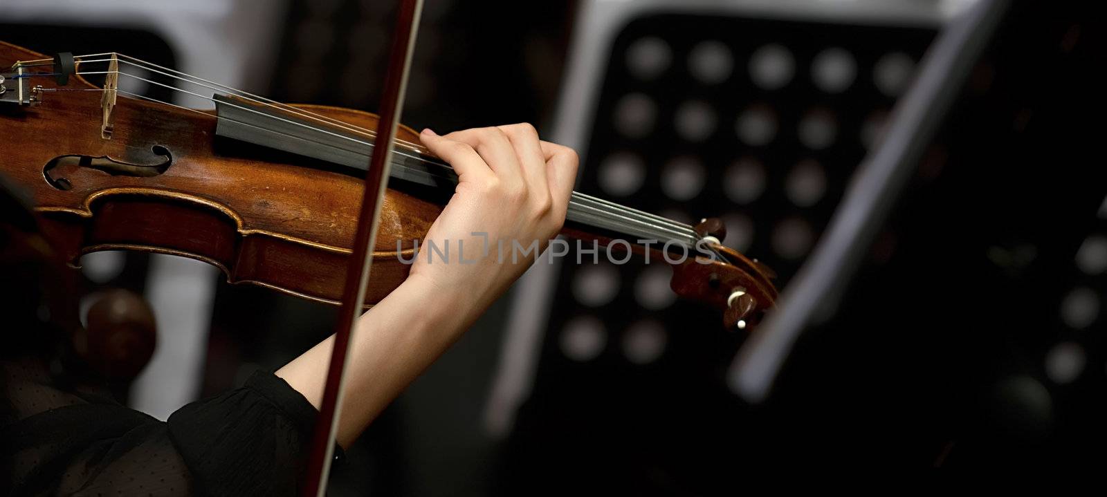 violin and performer