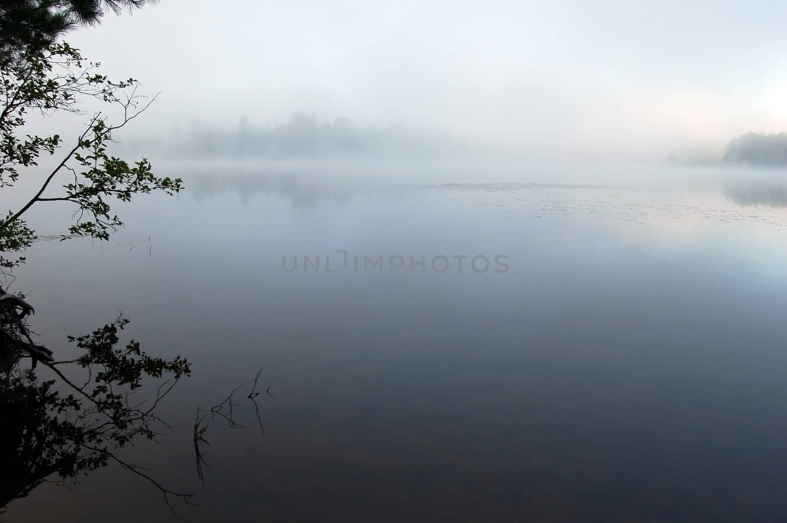 Strong fog above lake in the morning