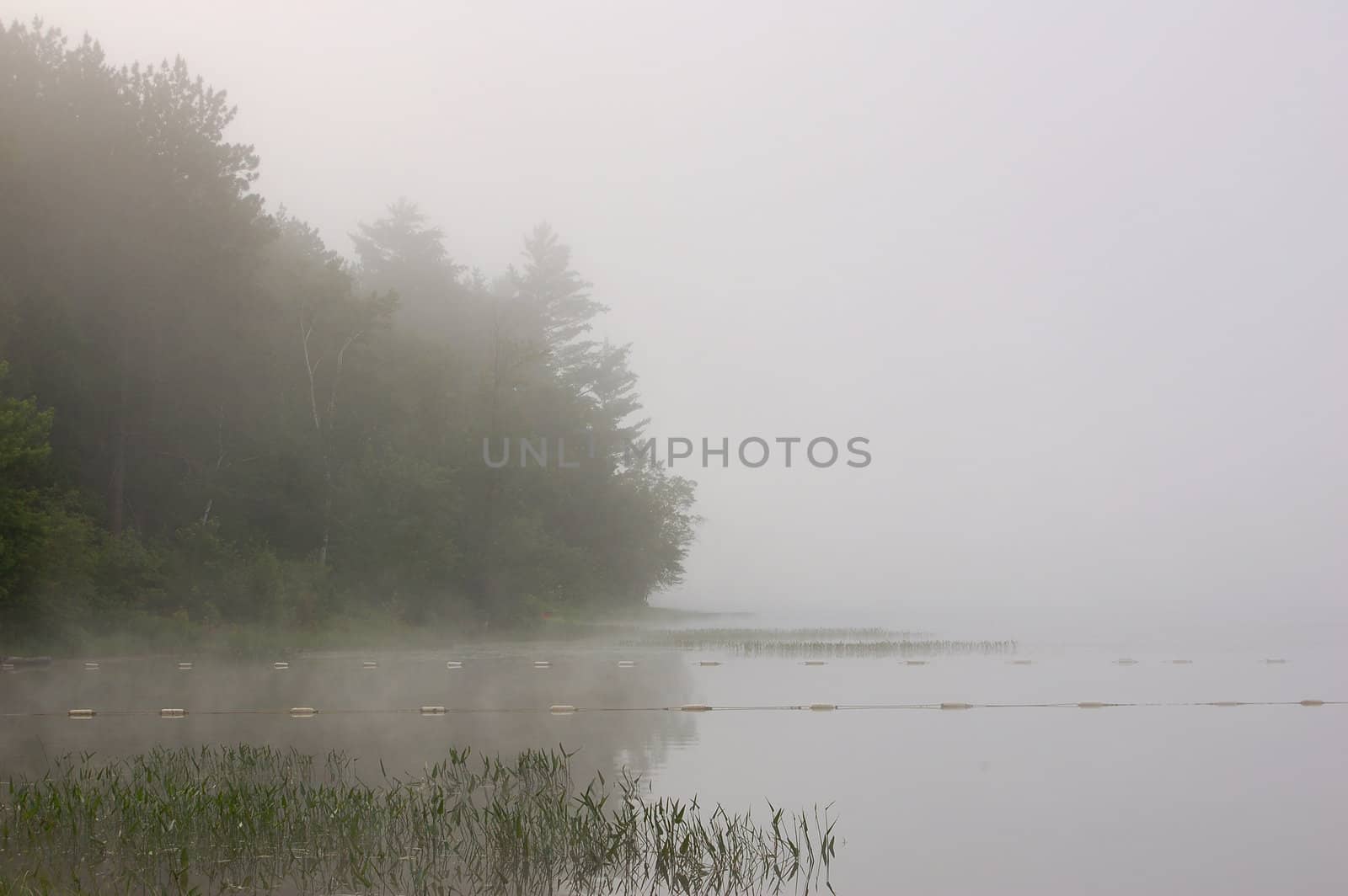 Strong fog by PavelS