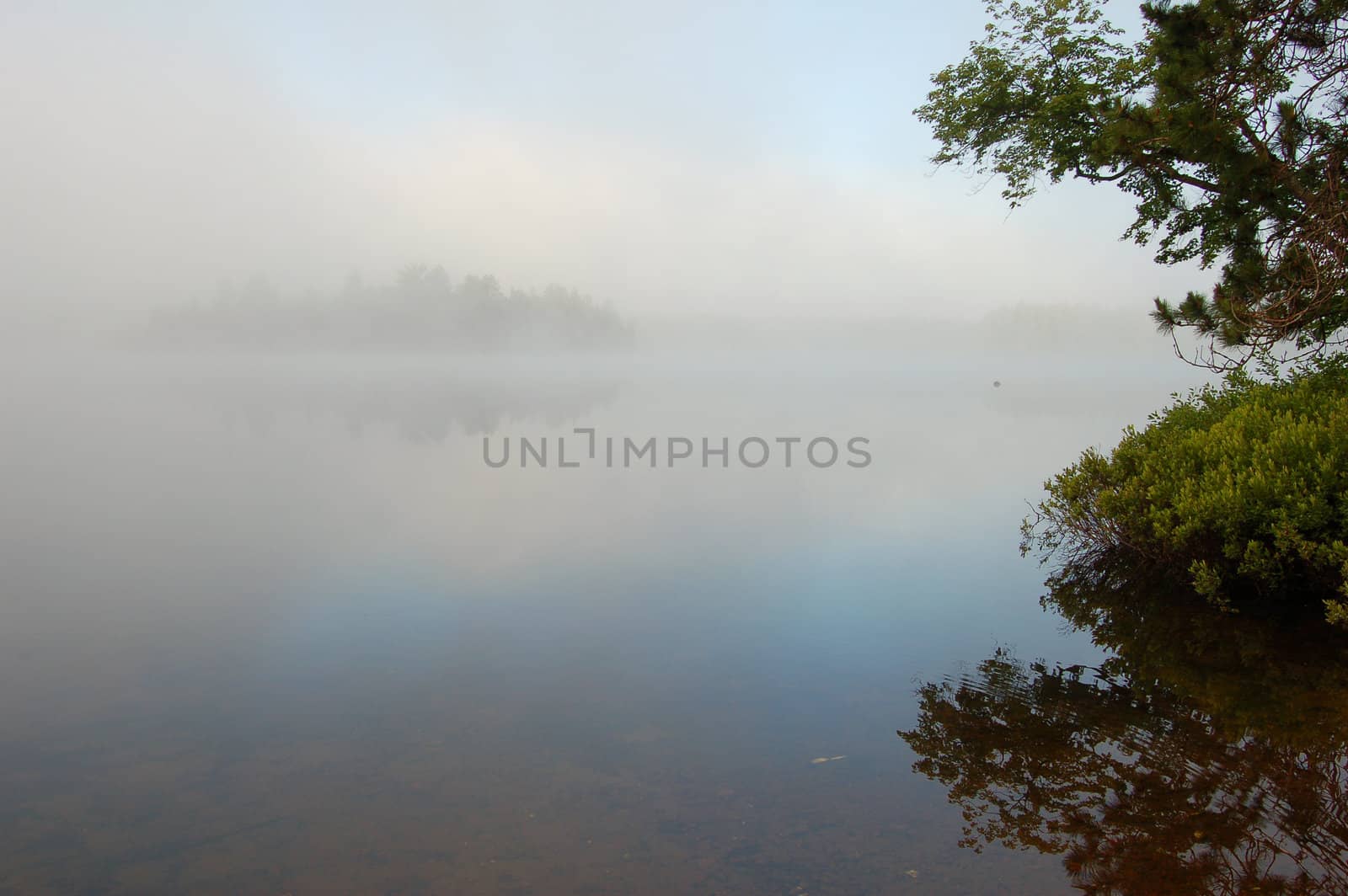 Strobg fog above lake in the morning
