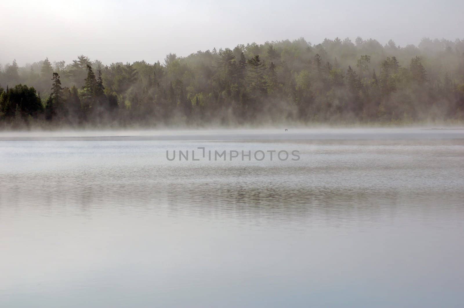 Strong fog above lake in the morning