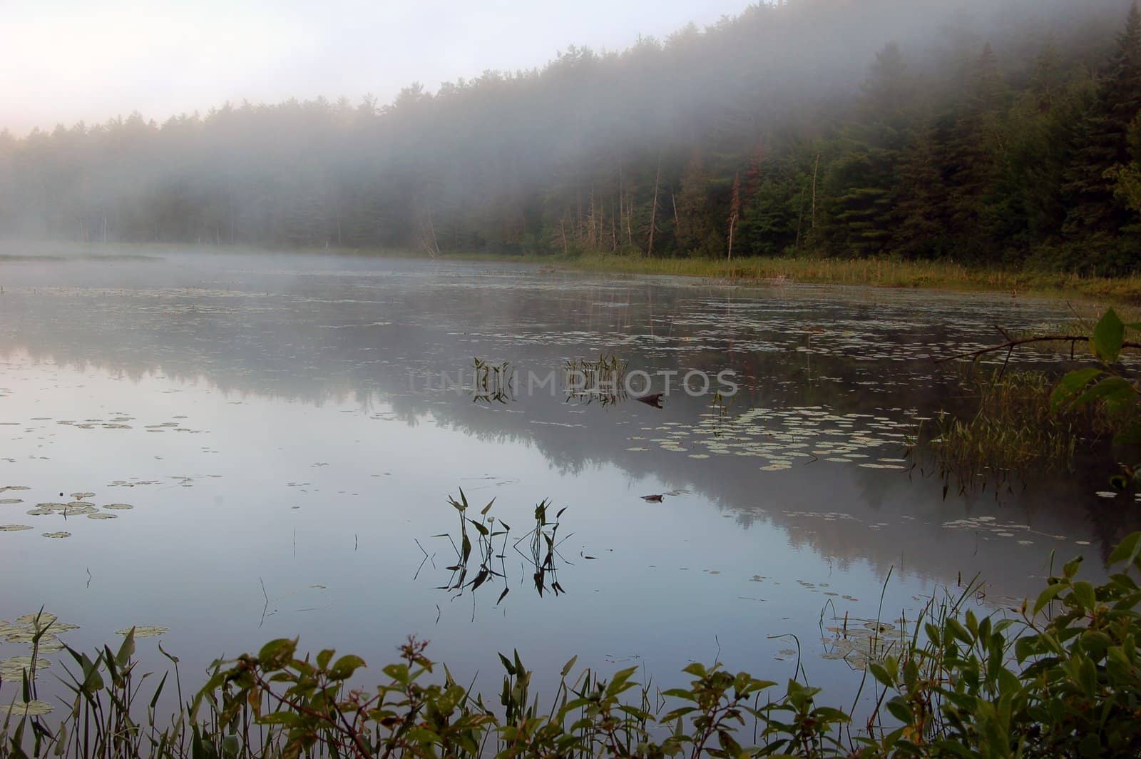 Fog above lake in the morning
