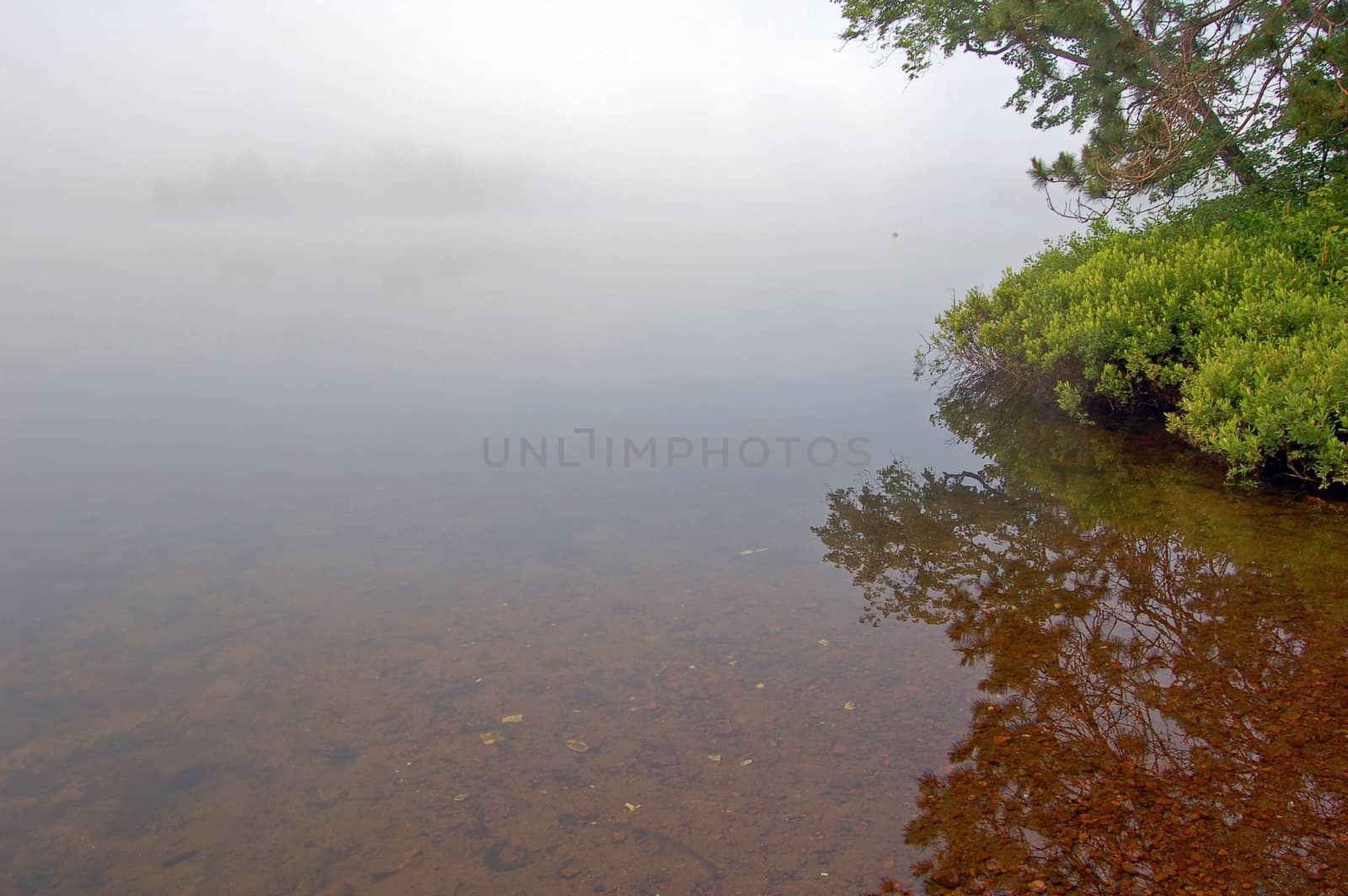 Strobg fog above lake in the morning
