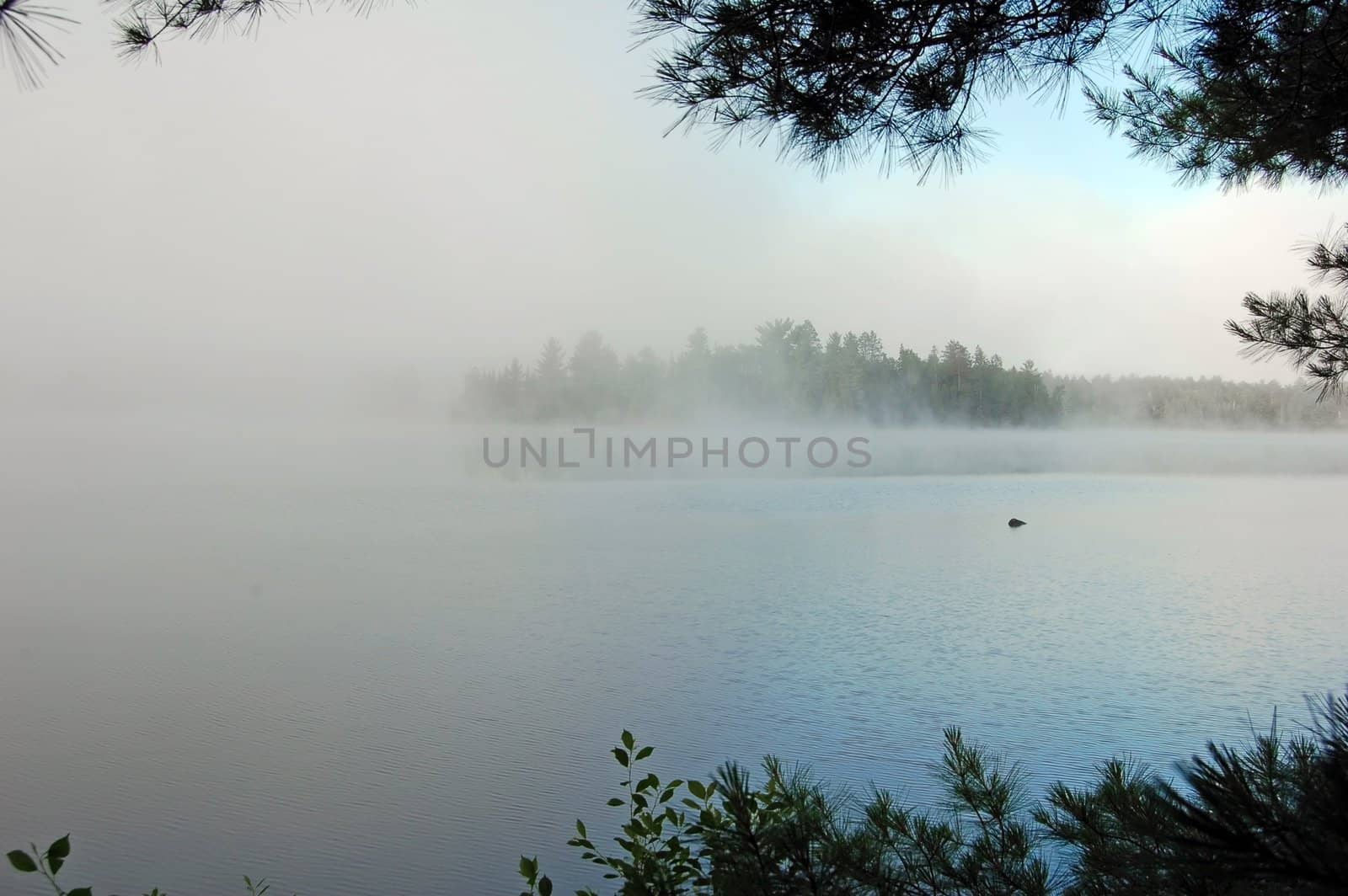 Strong fog above lake in the morning