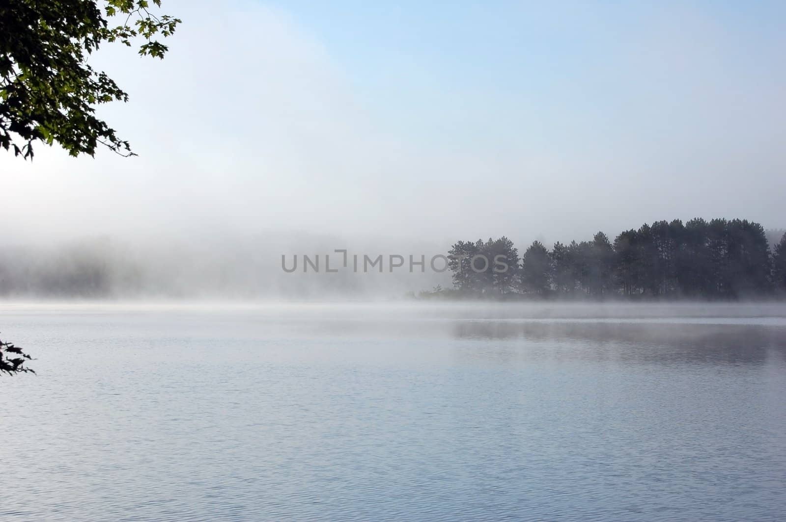 Strong fog above lake in the morning