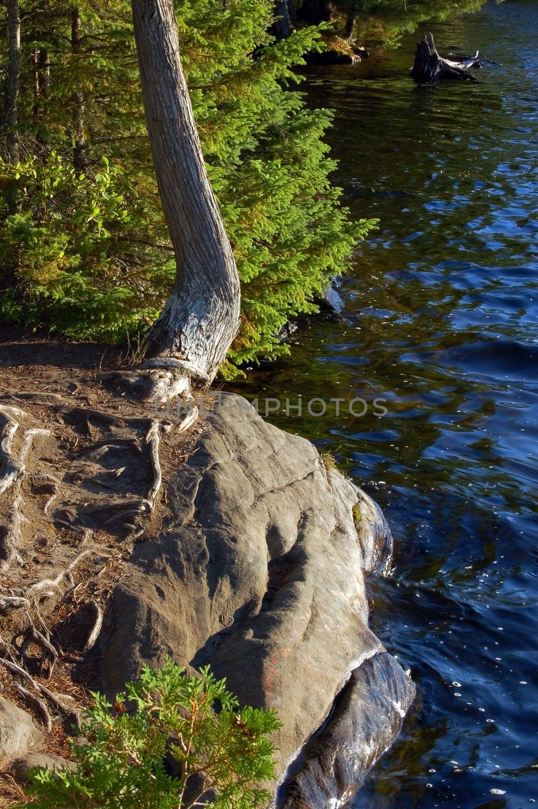 Sunny evening after day of canoeing in Algonquin Park