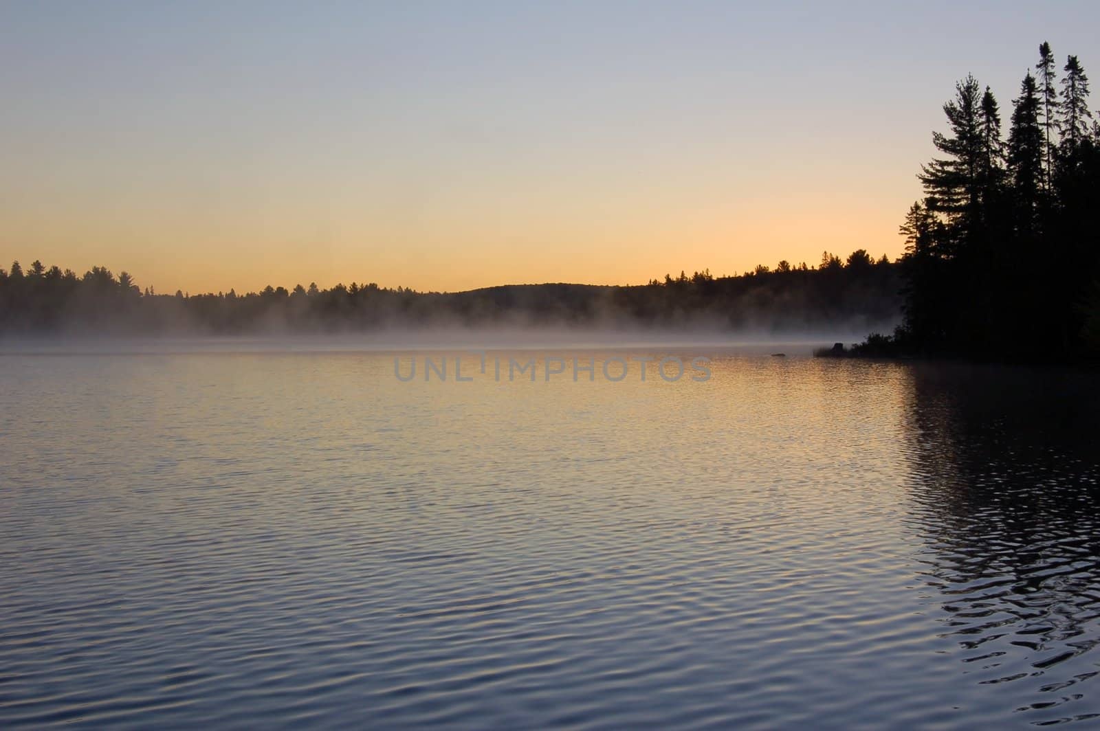 Sunrise and mist in beautiful lake in Algonquin Park
