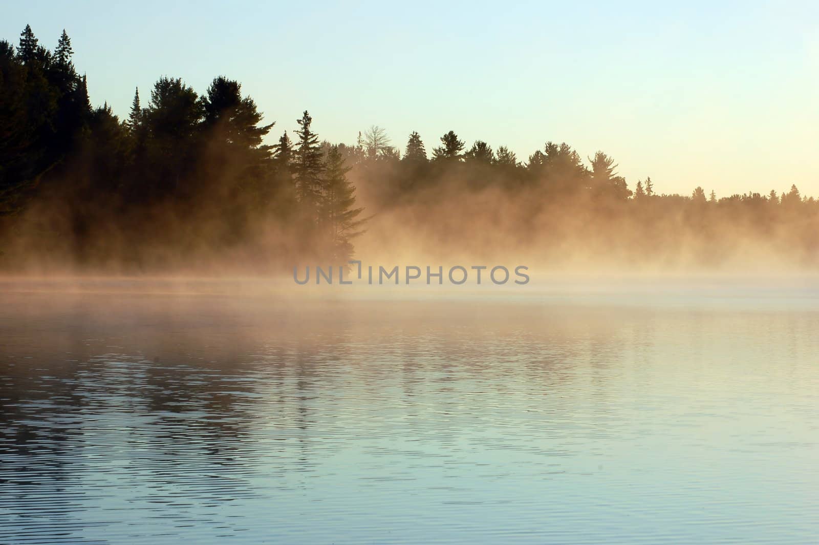 Sunrise and mist in beautiful lake in Algonquin Park
