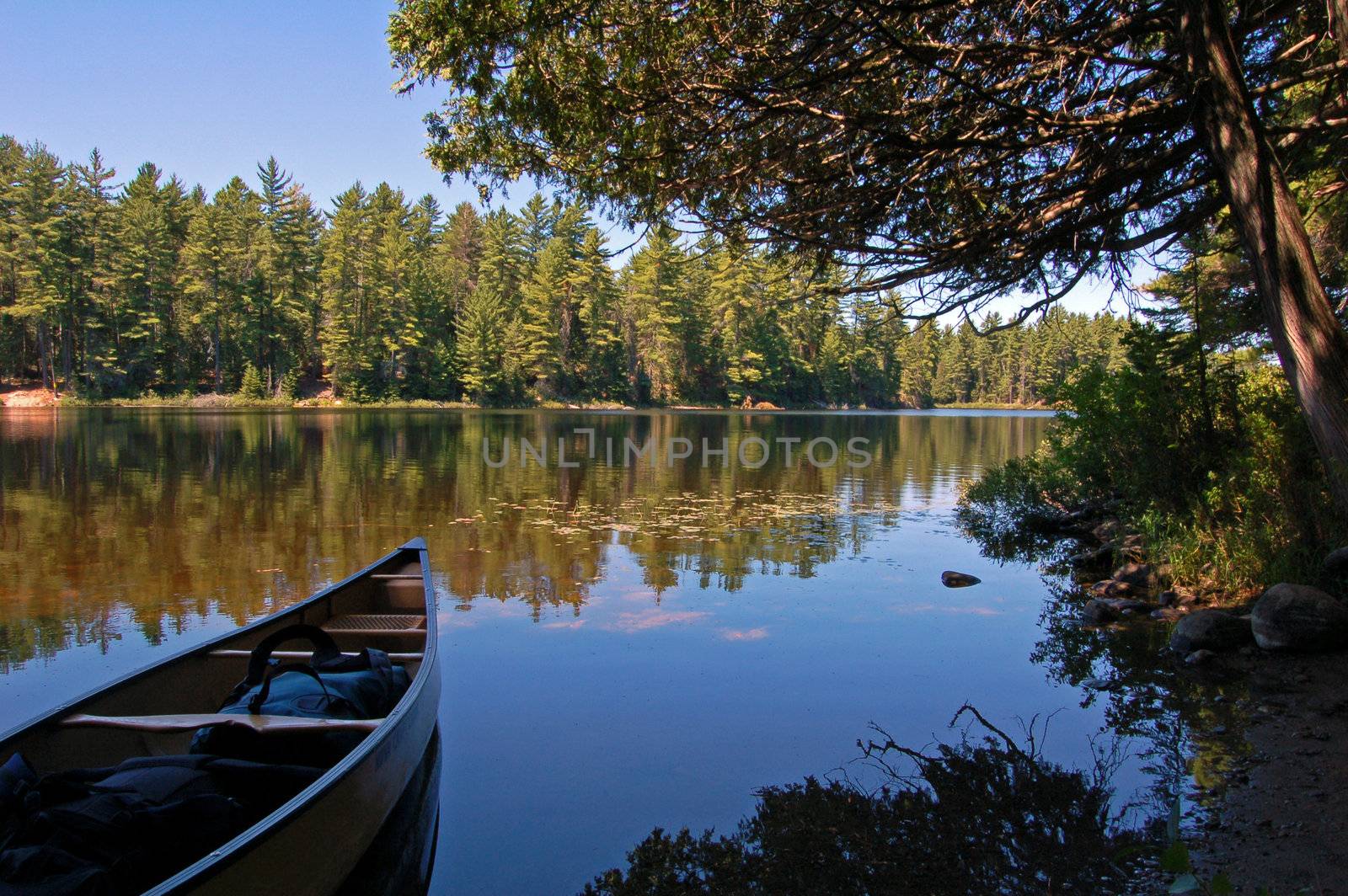 Lake and canoe after portage in sunny pine forest in Algonquin Park