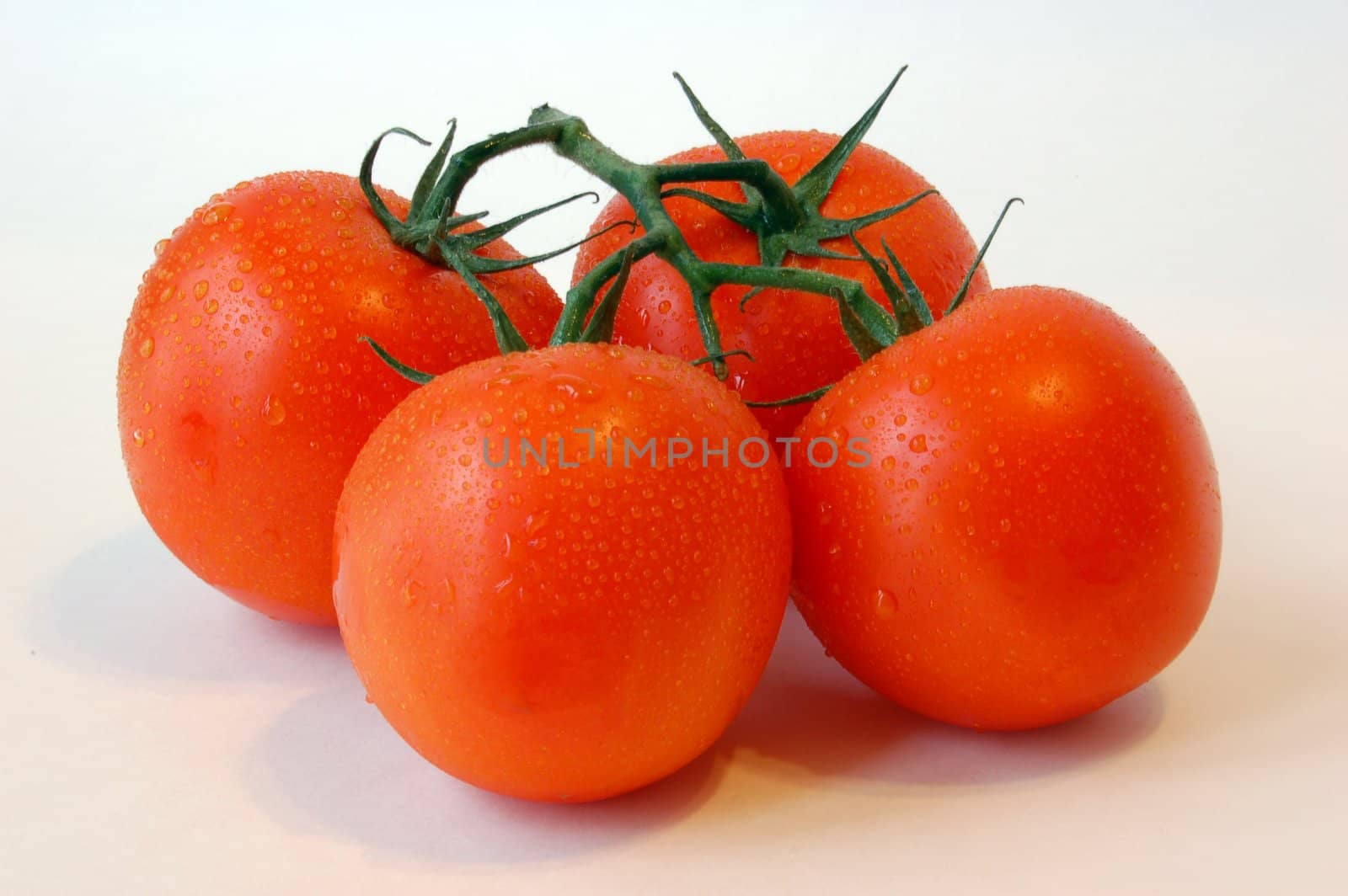 Three tomatos on white background