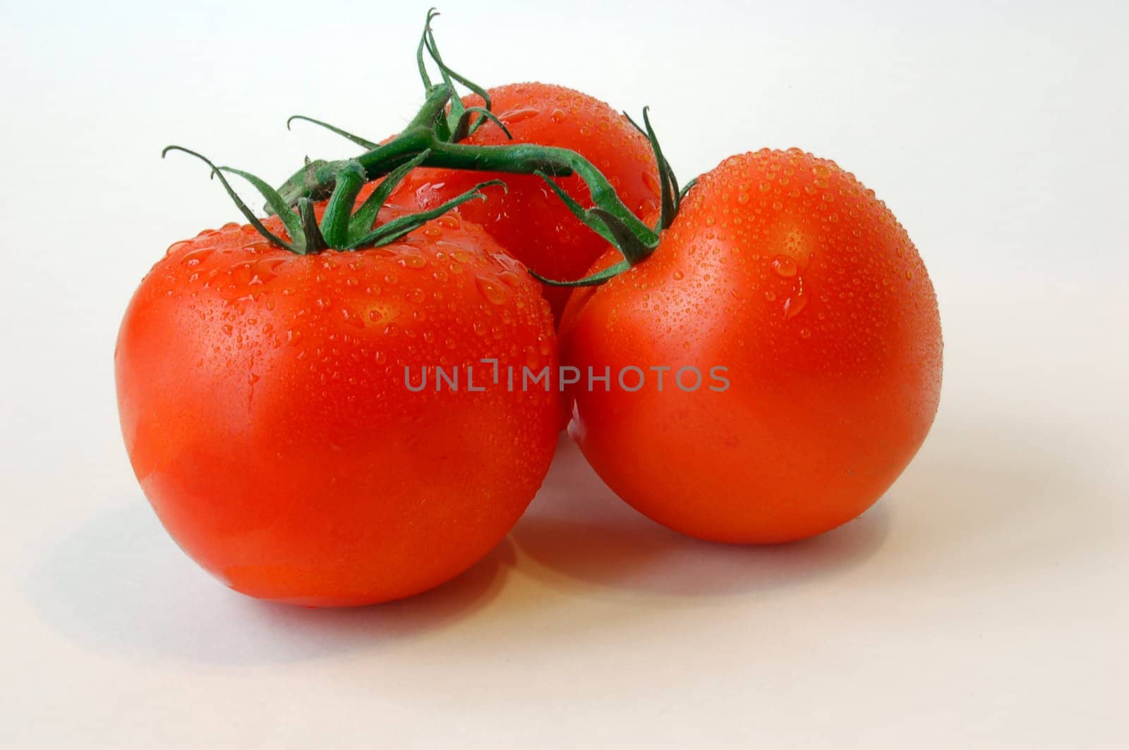 Three tomatos on white background
