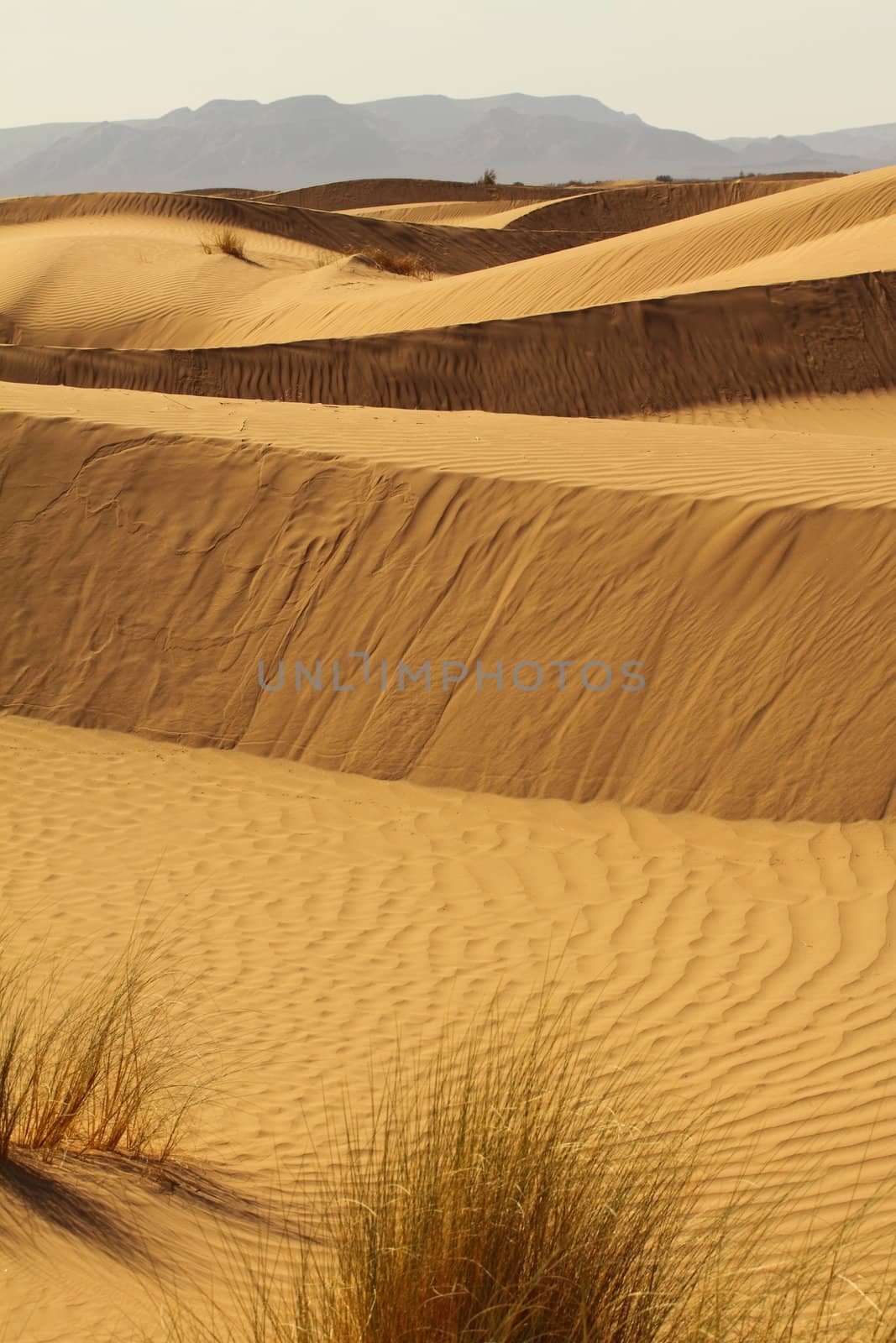 Sahara Desert Morocco by mariusz_prusaczyk