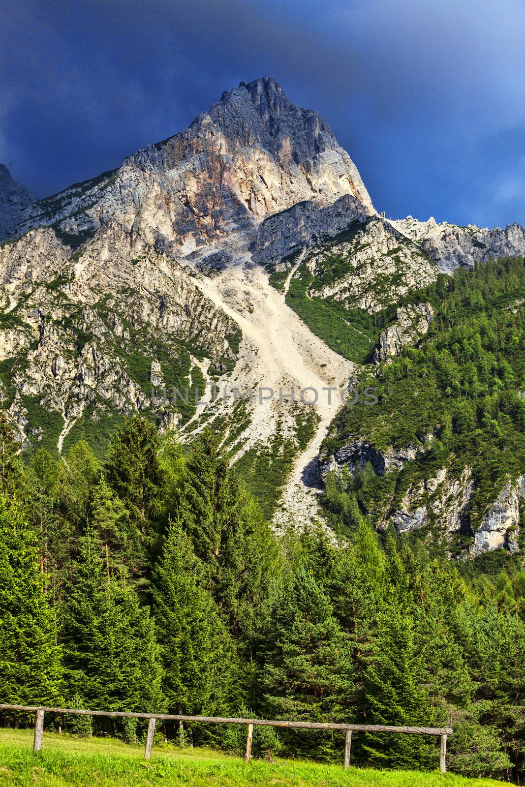 Beautiful image of a fresh green forest at the base of a rocky peak in Dolomites Mountains, Italy.