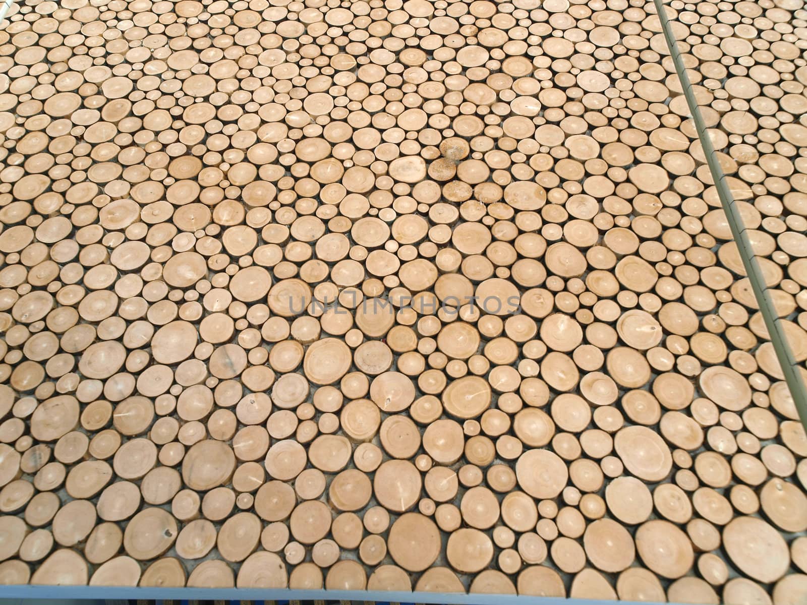 top of the cork tree