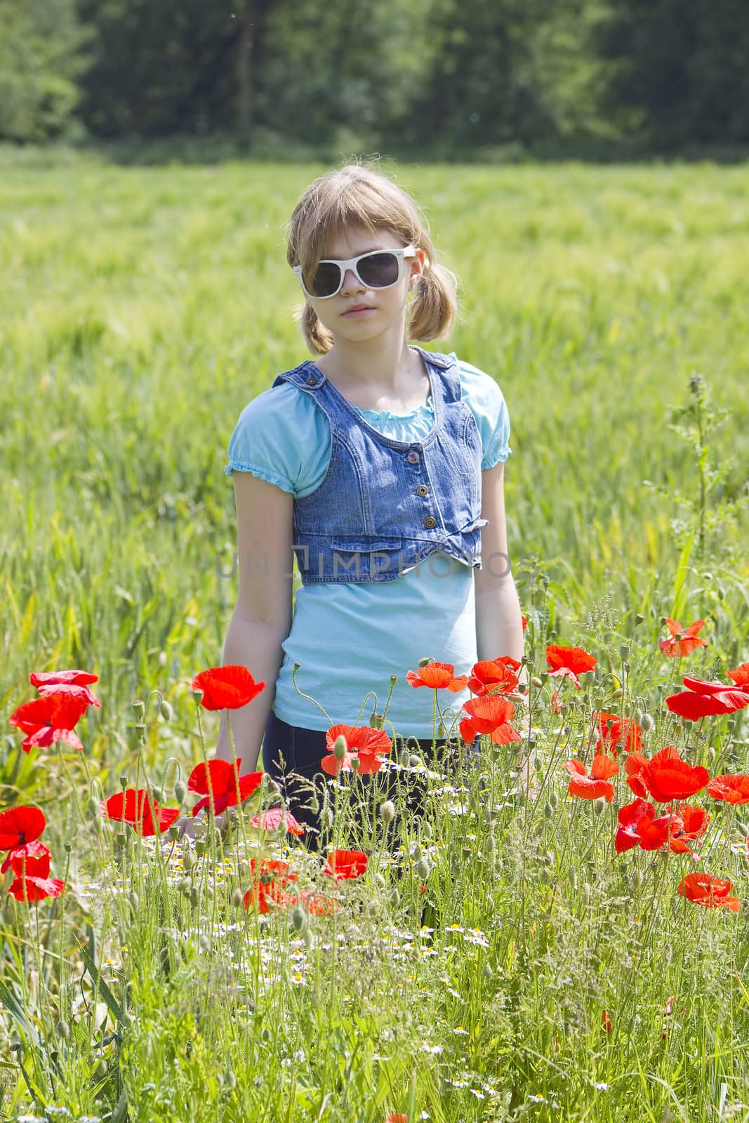 Cute young girl in poppy field by miradrozdowski