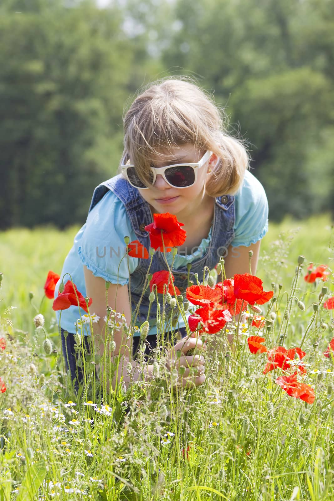 Cute young girl in poppy field by miradrozdowski