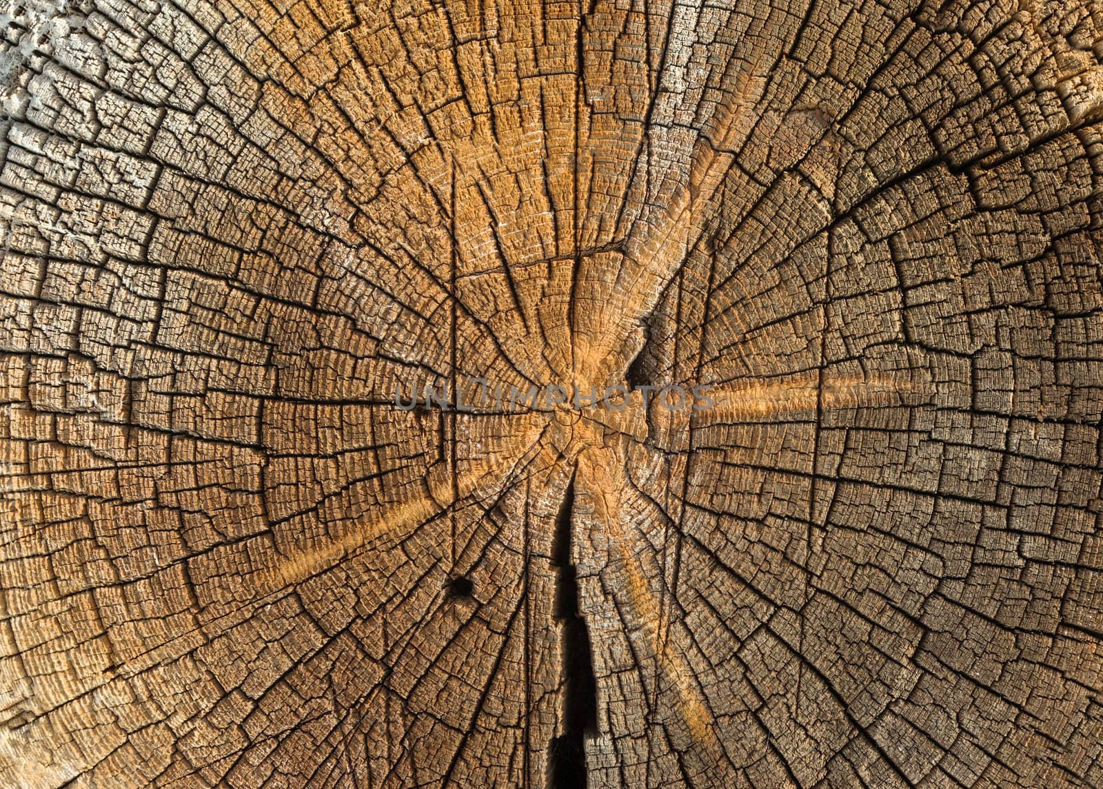 close-up wooden cut texture with burning frame  close up