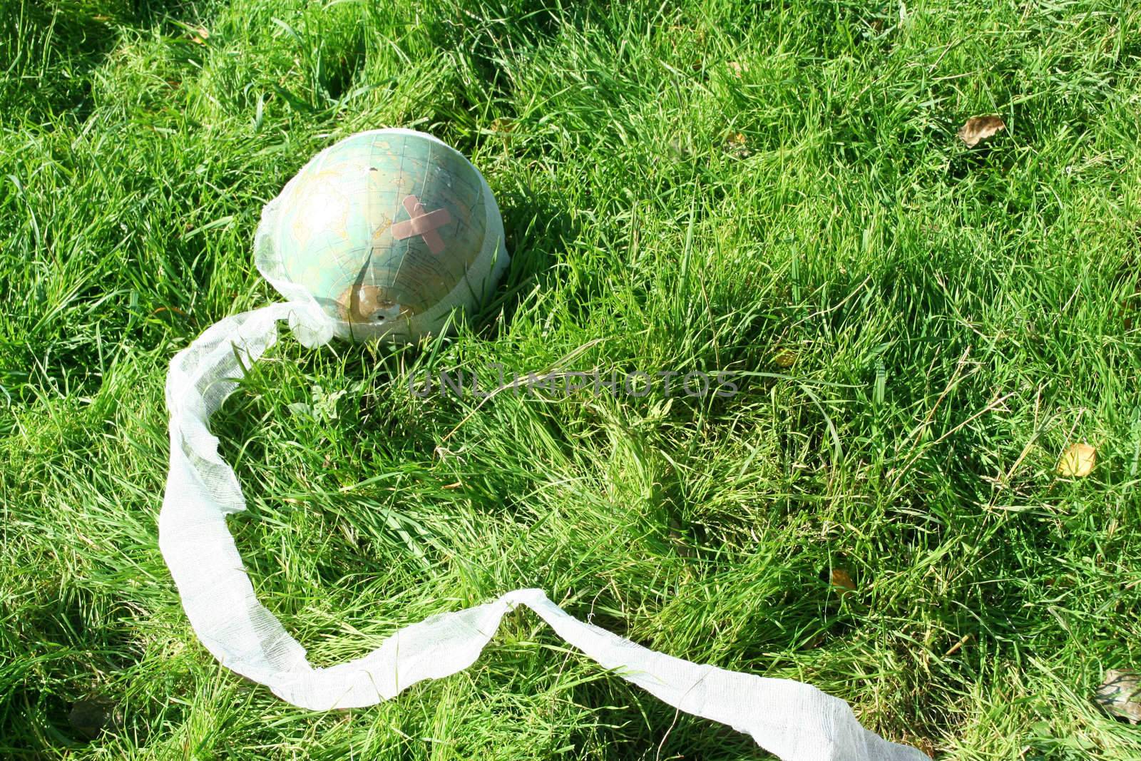 The planet the Earth requires our help