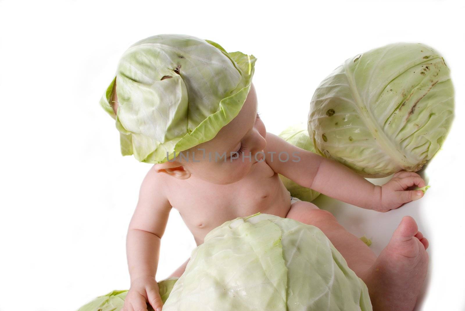 plays of the tot with cabbage by Fanfo