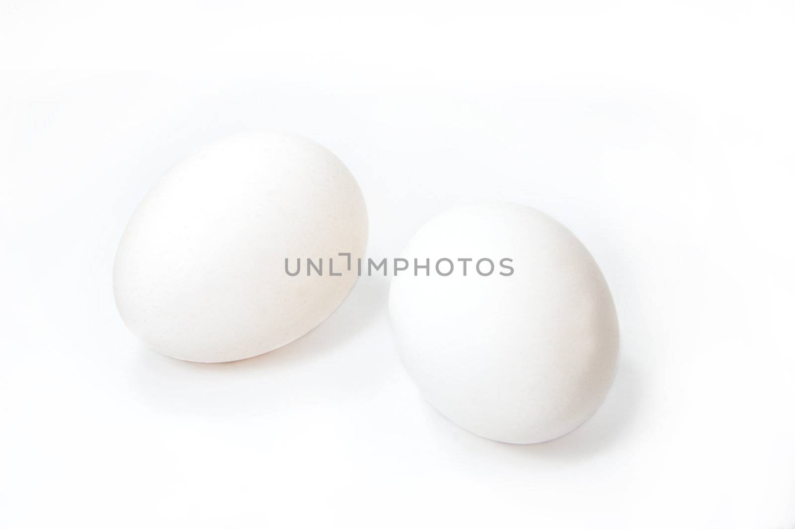 Two white eggs on white