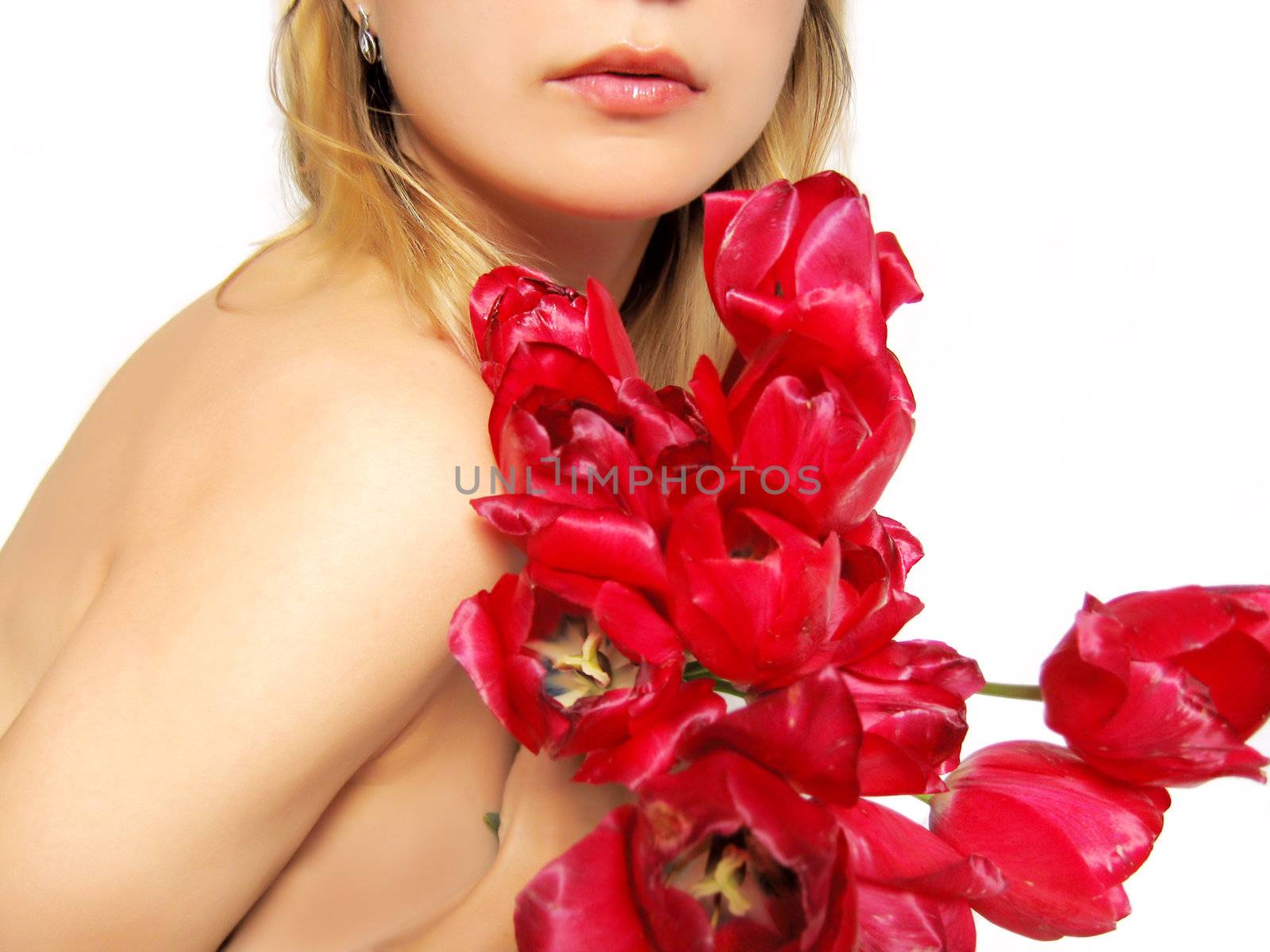 sensual part of woman's body holding tulips on white