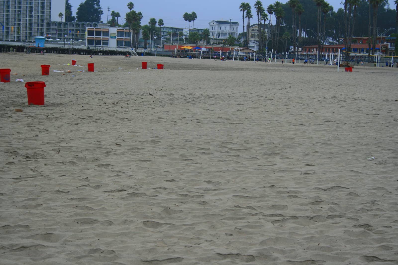 Polluted sandy beach during day time.
