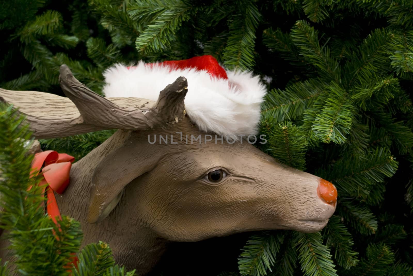 Reindeer surrounded by christmas trees.