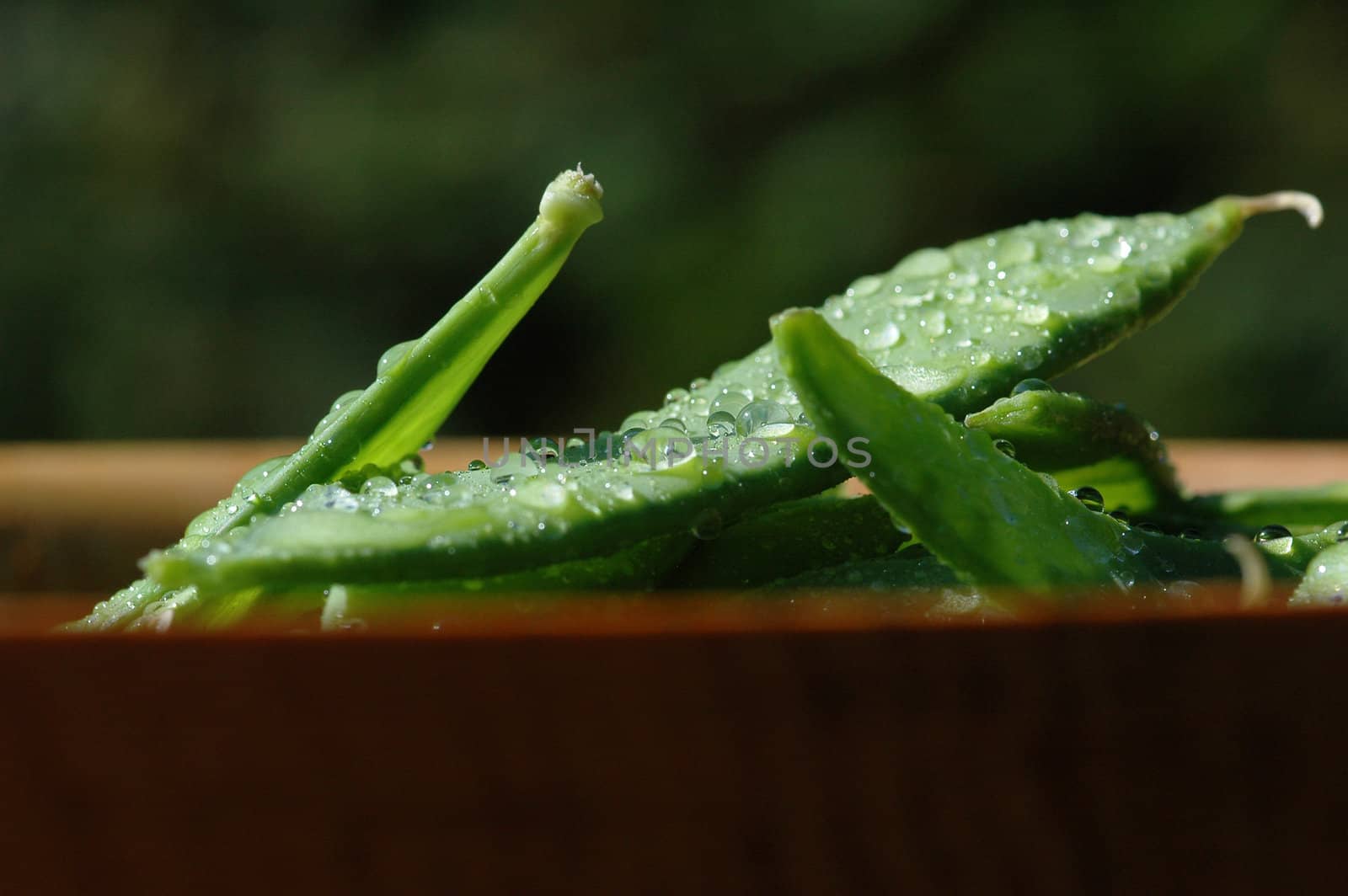 Wet sweet peas / Sukkererter.
Norwegian.