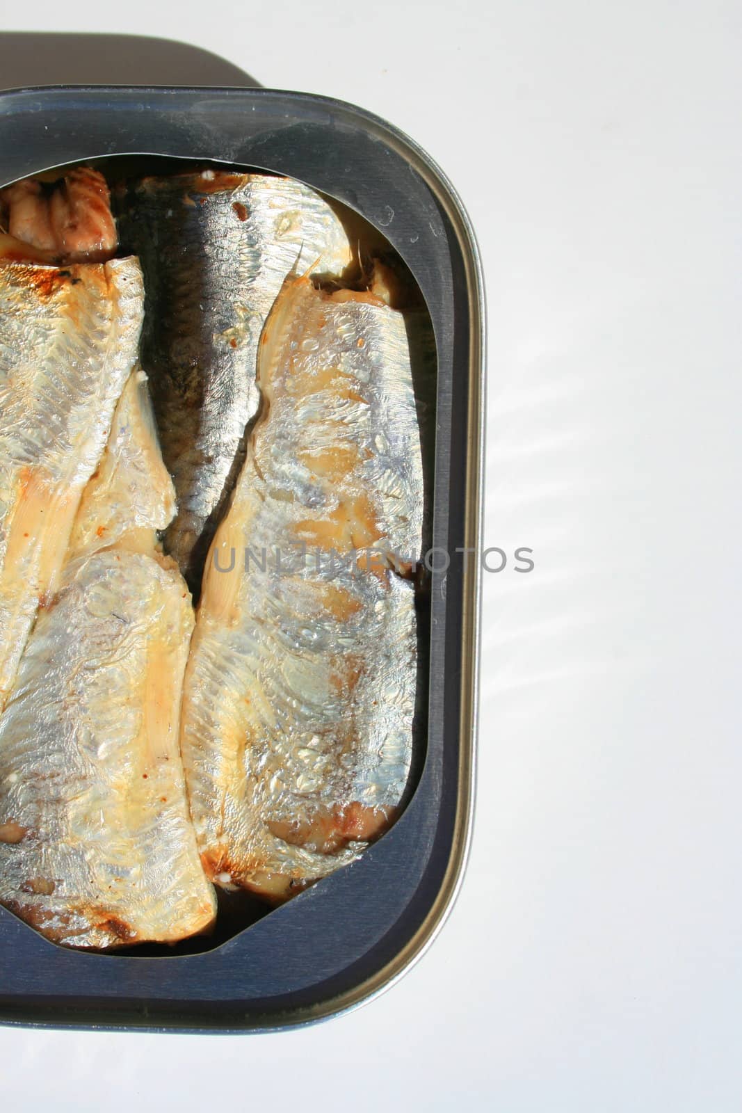 Close up of sardines in a can.
