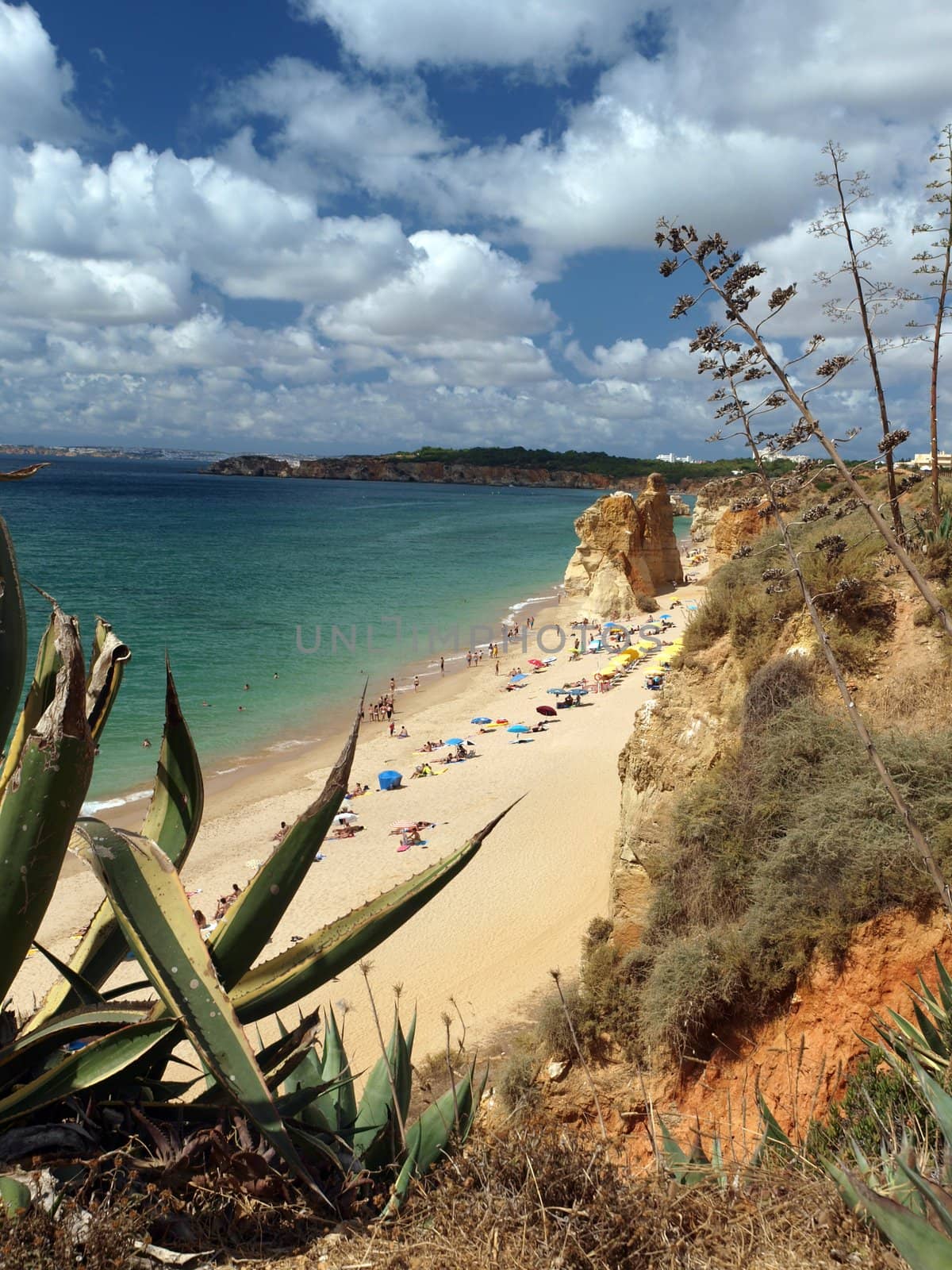 A section of the idyllic Praia de Rocha beach on the southern coast of the Portuguese Algarve region. 