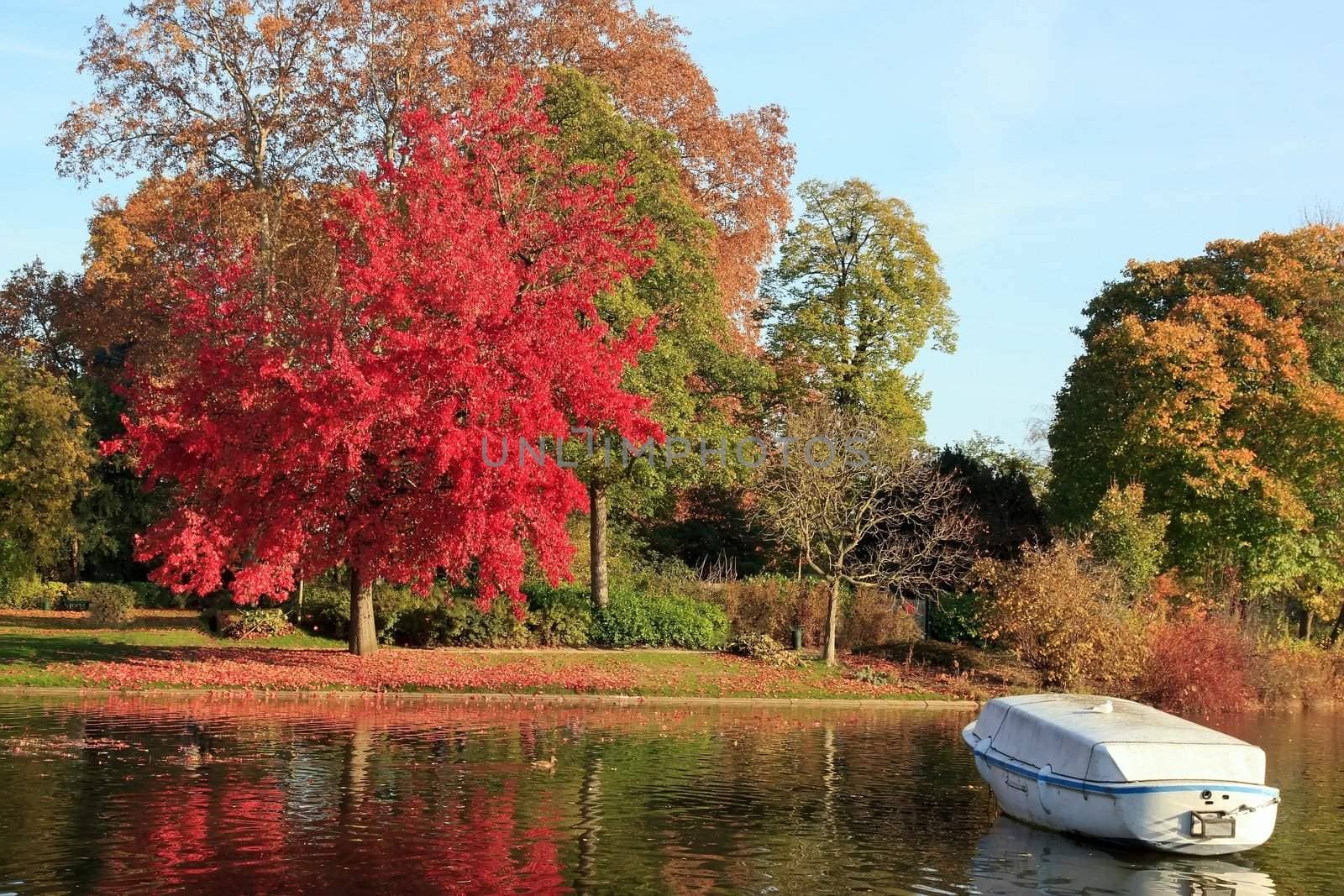 red maple in autumn,on the river a small boat waiting for the summer. a park near Paris