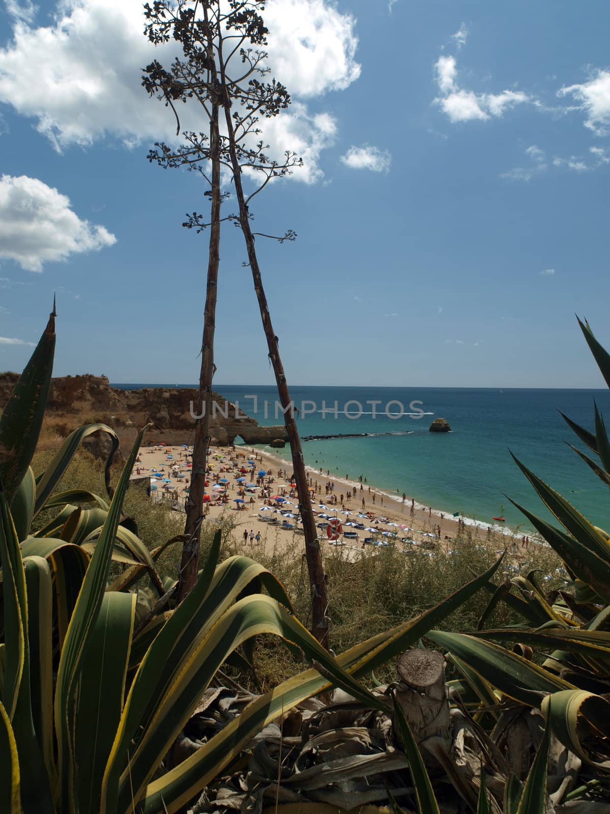 A section of the idyllic Praia de Rocha beach on the southern coast of the Portuguese Algarve region.