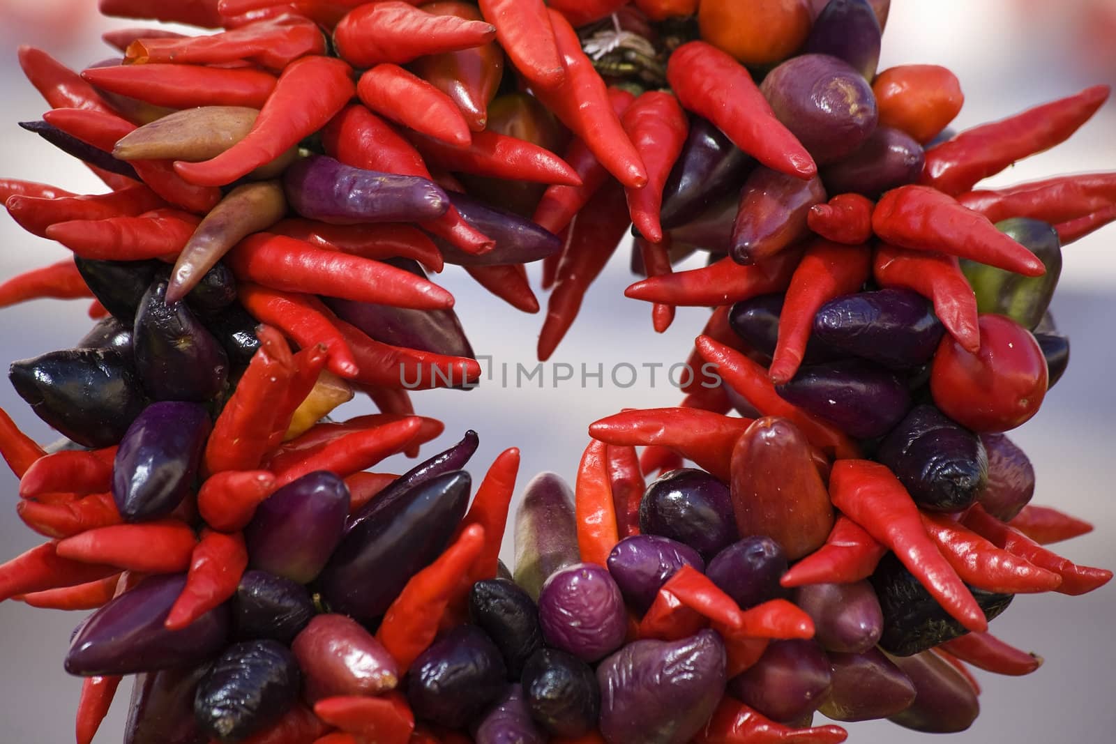 Round Red Spicy Hot Chili Peppers Wreath

Resubmit--In response to comments from reviewer have further processed image to reduce noise, sharpen focus and adjust lighting.
