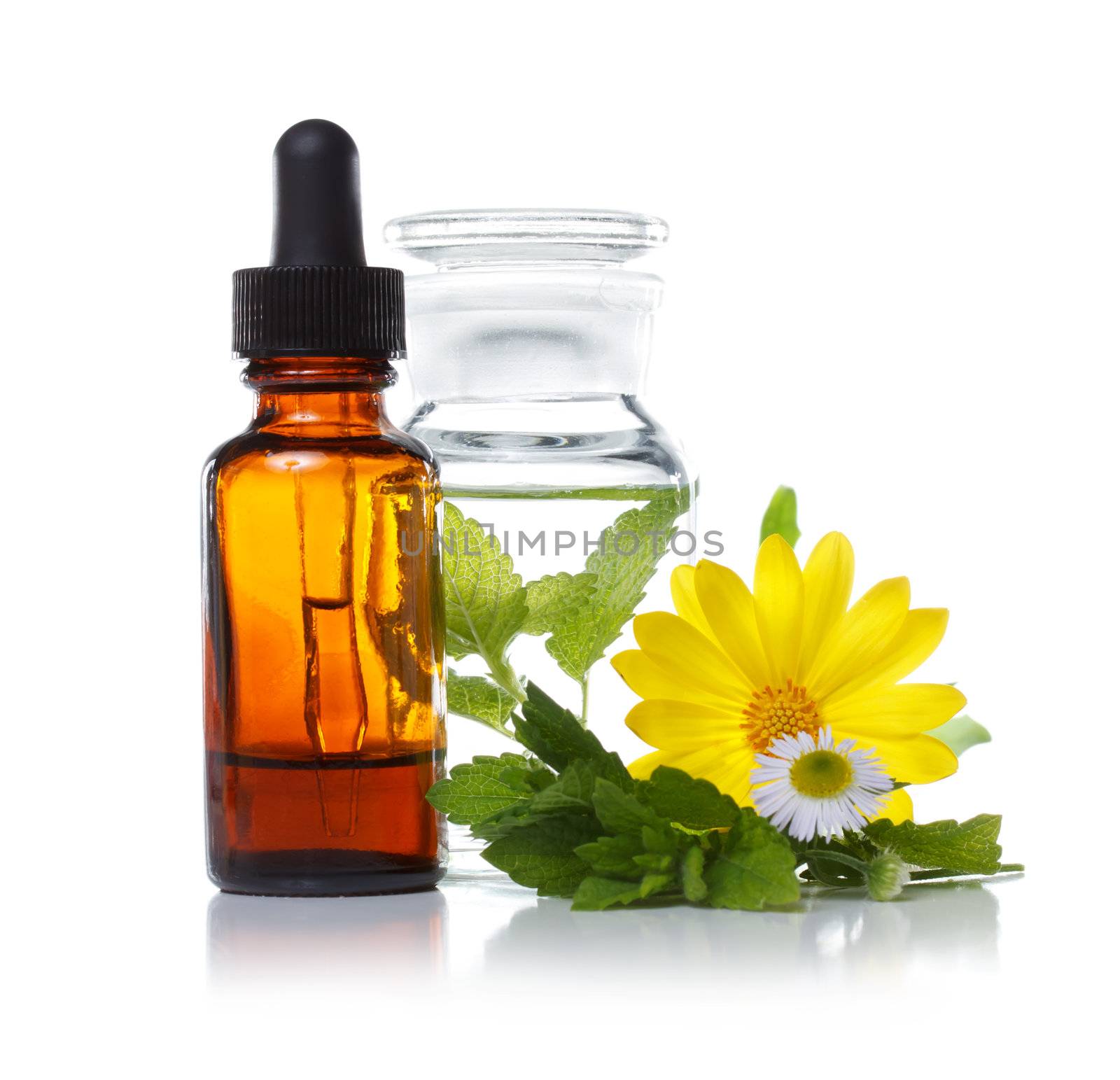 Herbal medicine or aromatherapy dropper bottle by melpomene