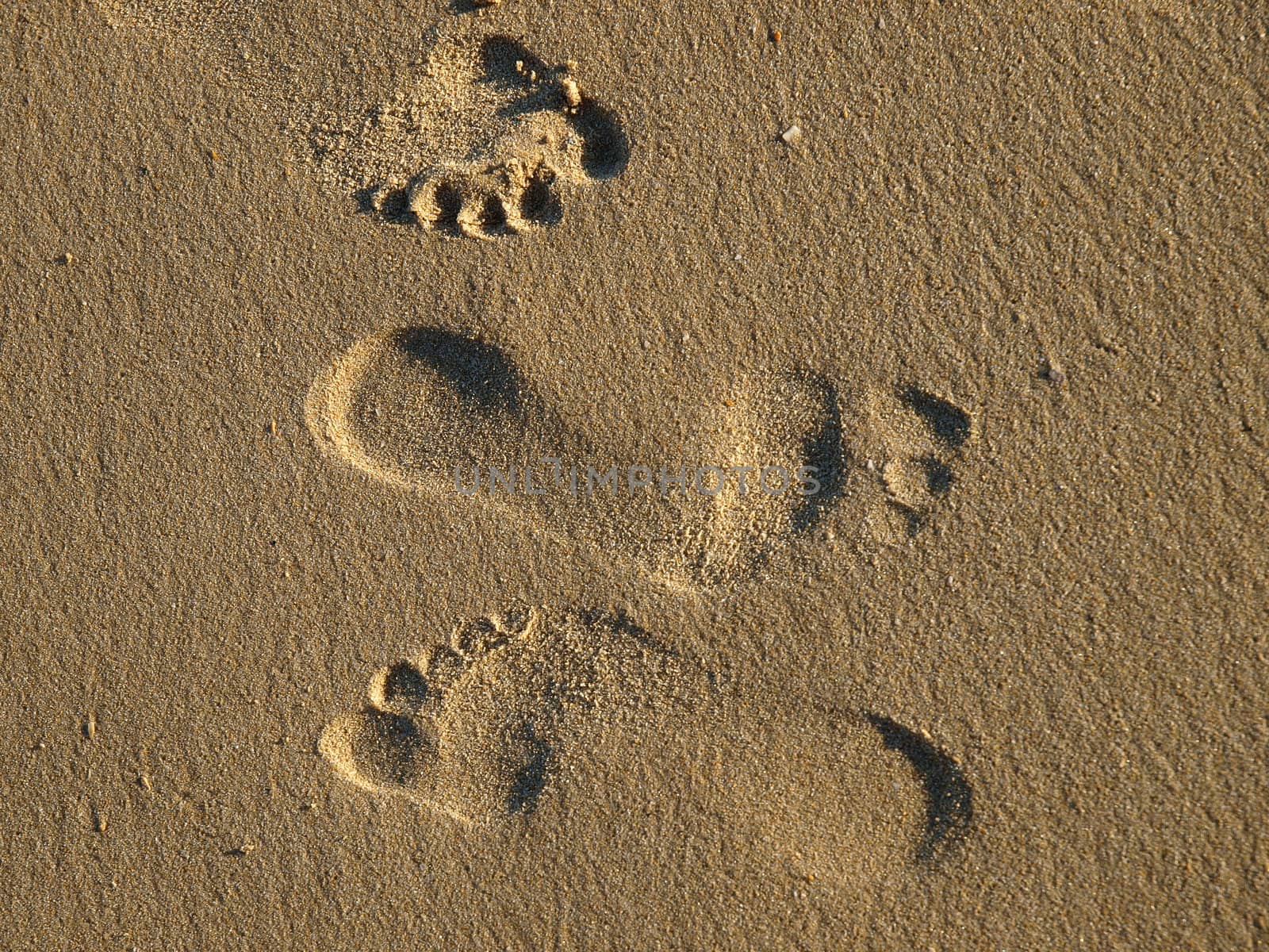 footprints in the wet sand