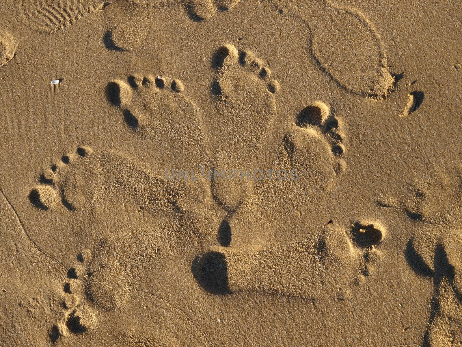 footprints in the wet sand