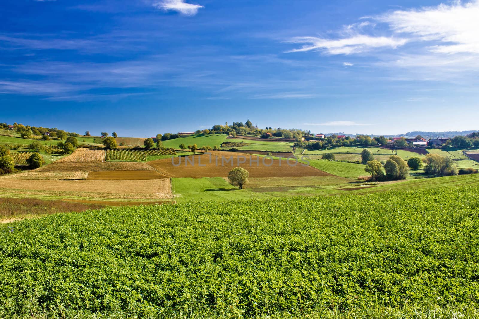 Beautiful green nature under blue sky, Prigorje region of Croatia