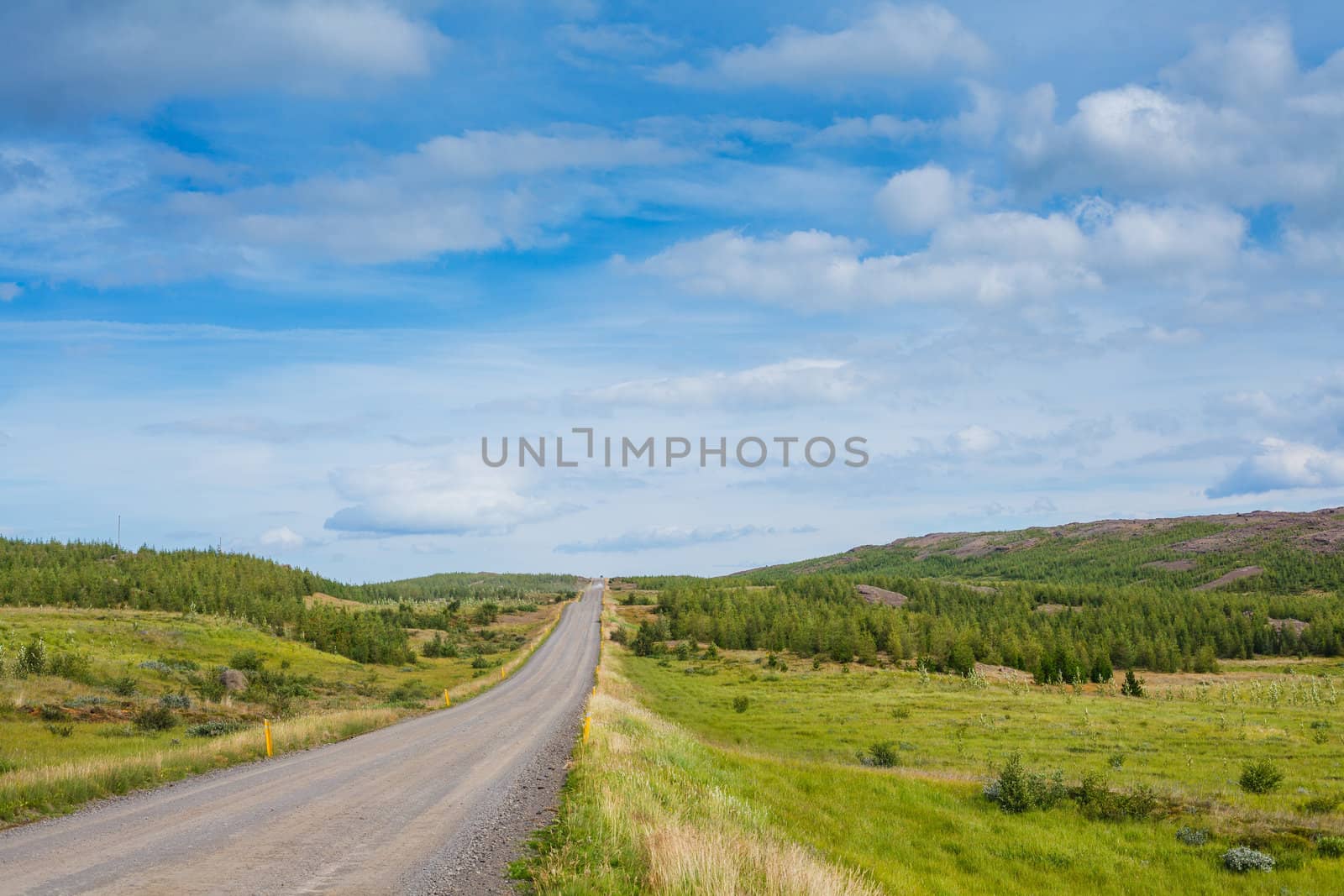 Winding road bends of Thingvellir - famous area in Iceland.