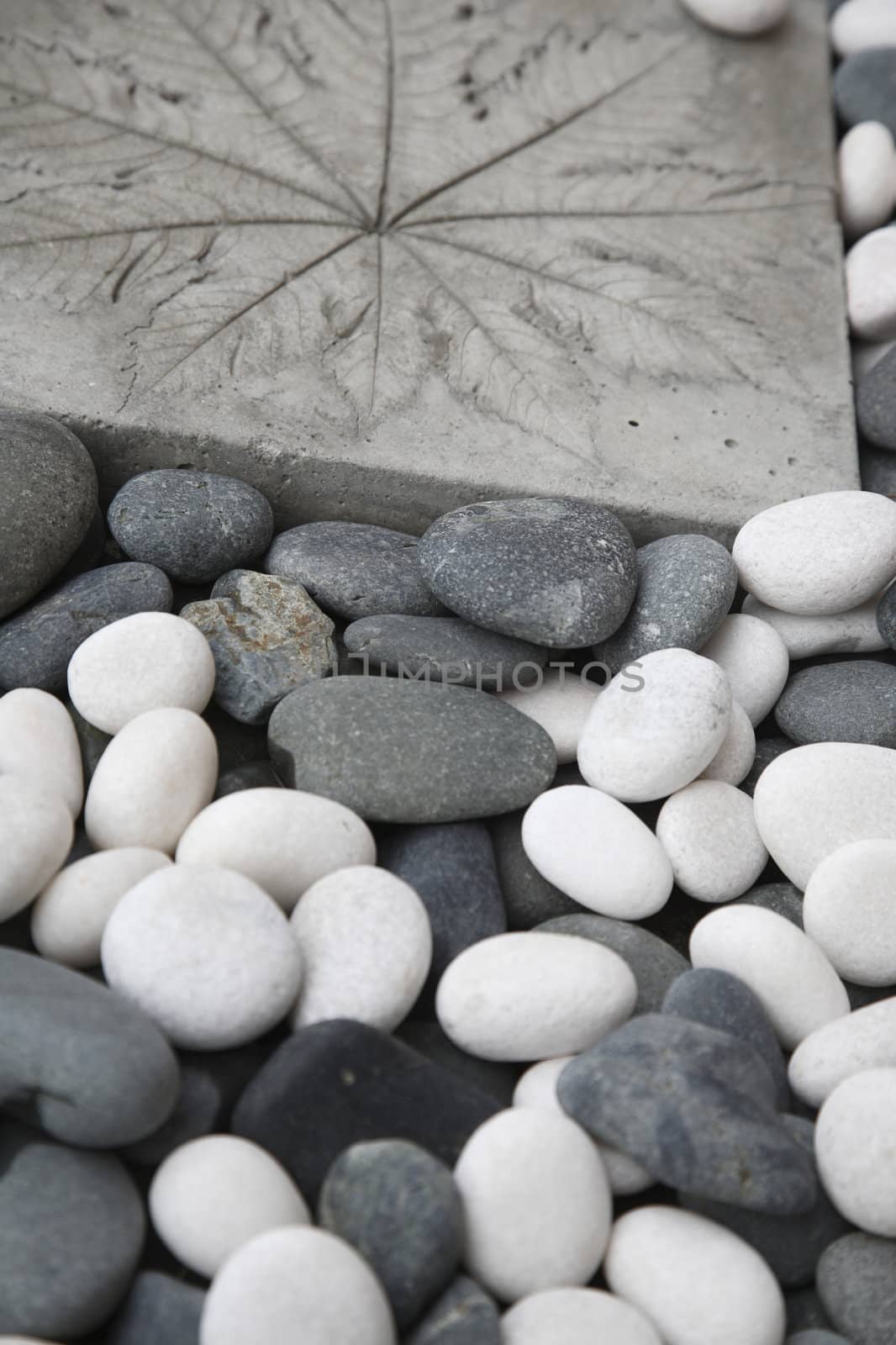 stock image of the stone river