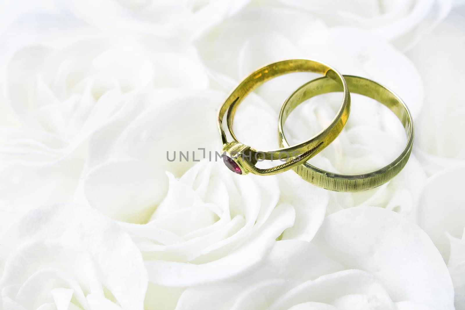 Two wedding rings over white roses 