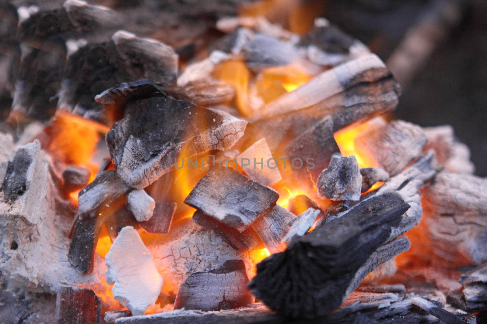 Decaying red coals of a tree in a fire 