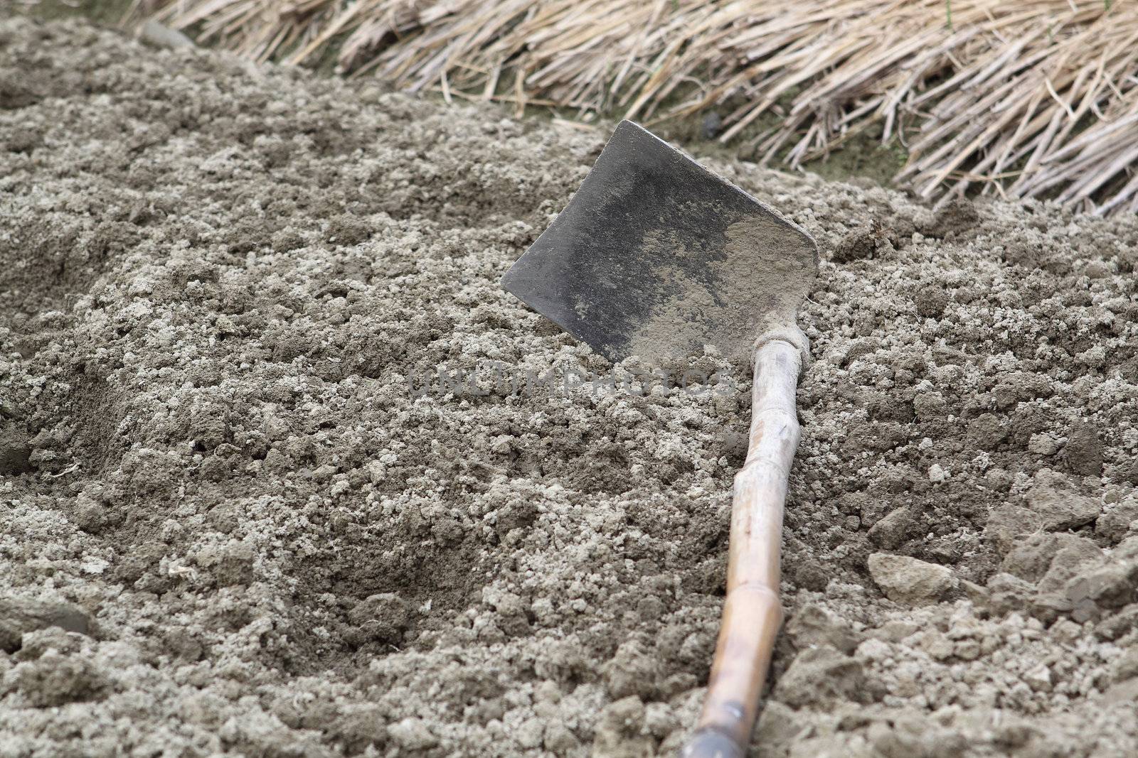 spade ready to prepare vegetable bed for sowing 