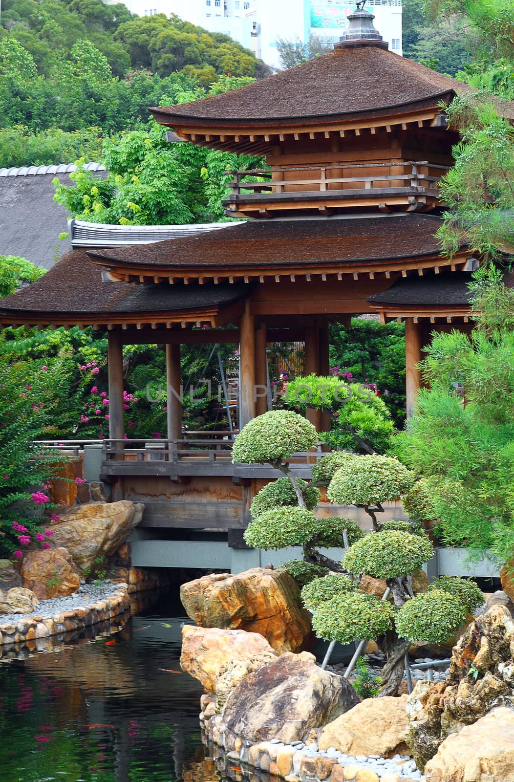 Pavilion and green trees at day