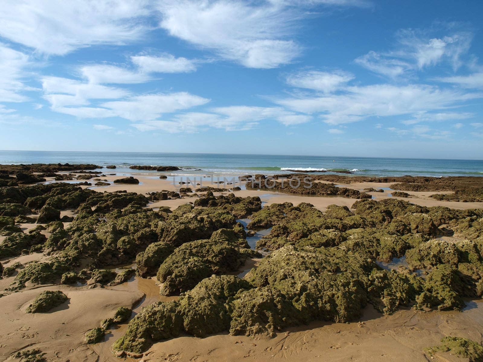 Algarve coast at low tide the ocean