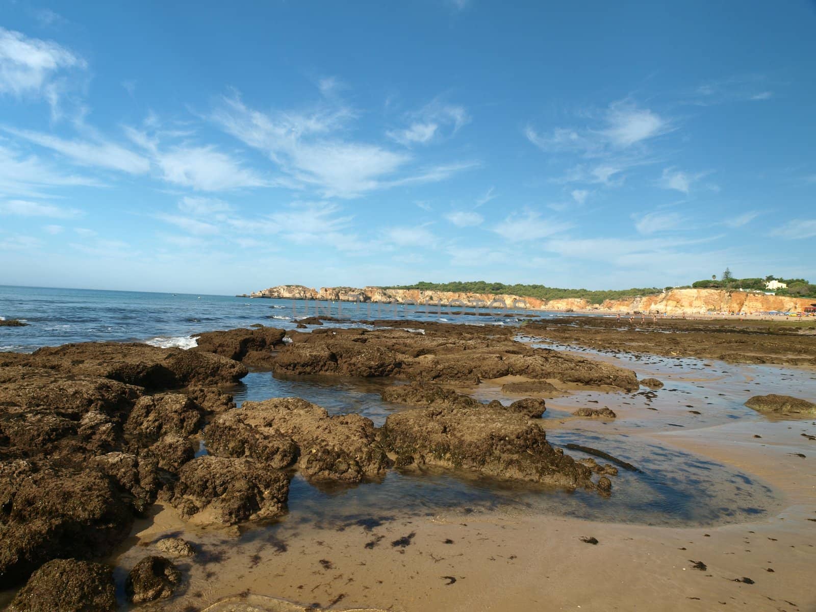 Algarve coast at low tide the ocean 
